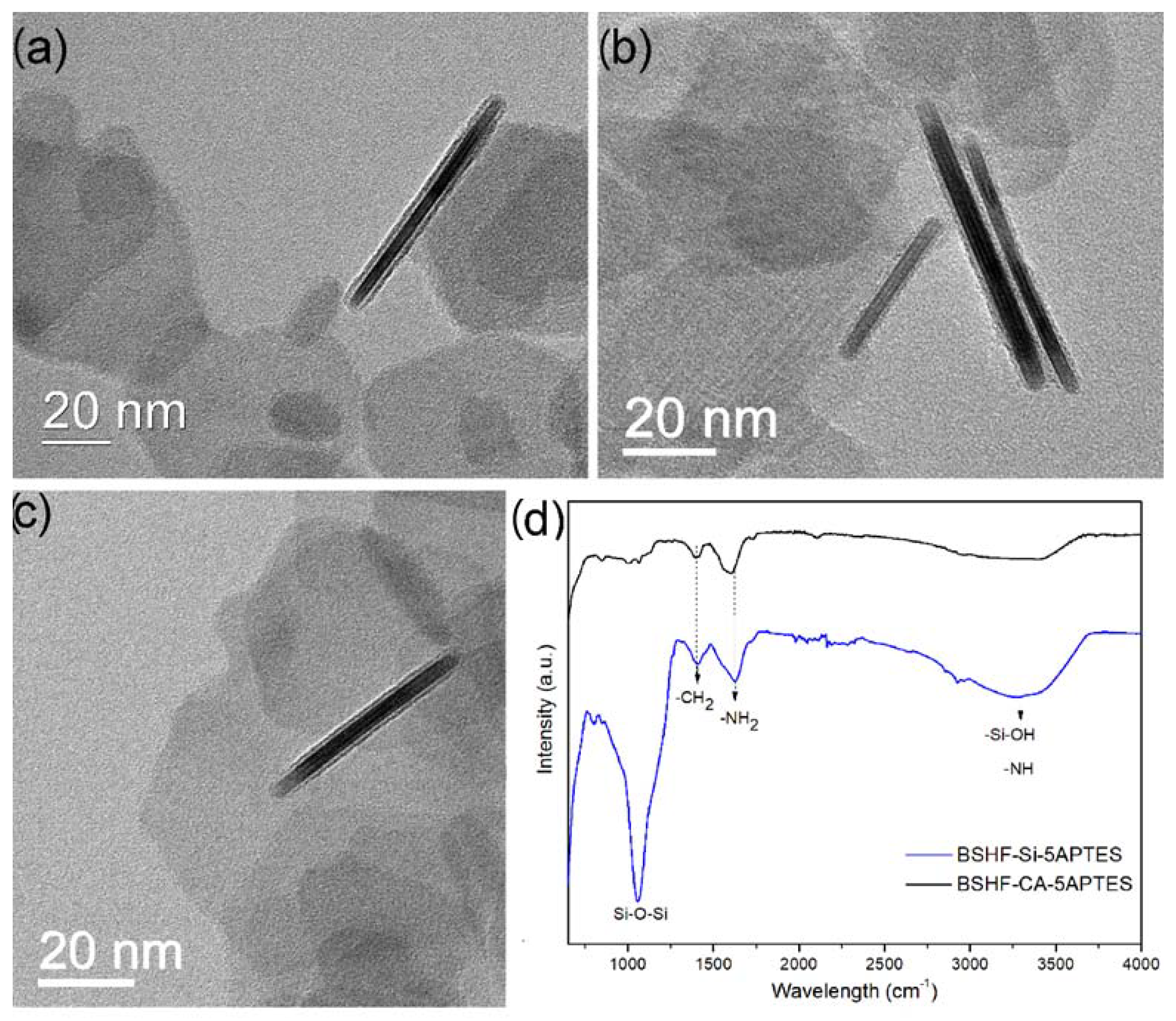 Nanomaterials 12 02123 g002
