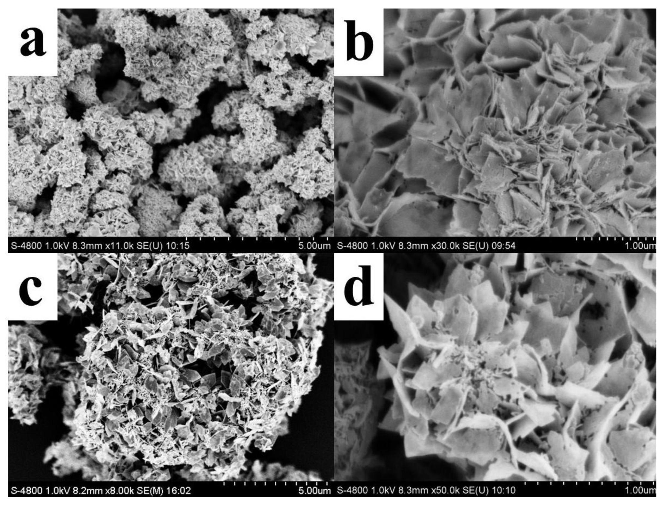 Nanomaterials 12 02133 g001