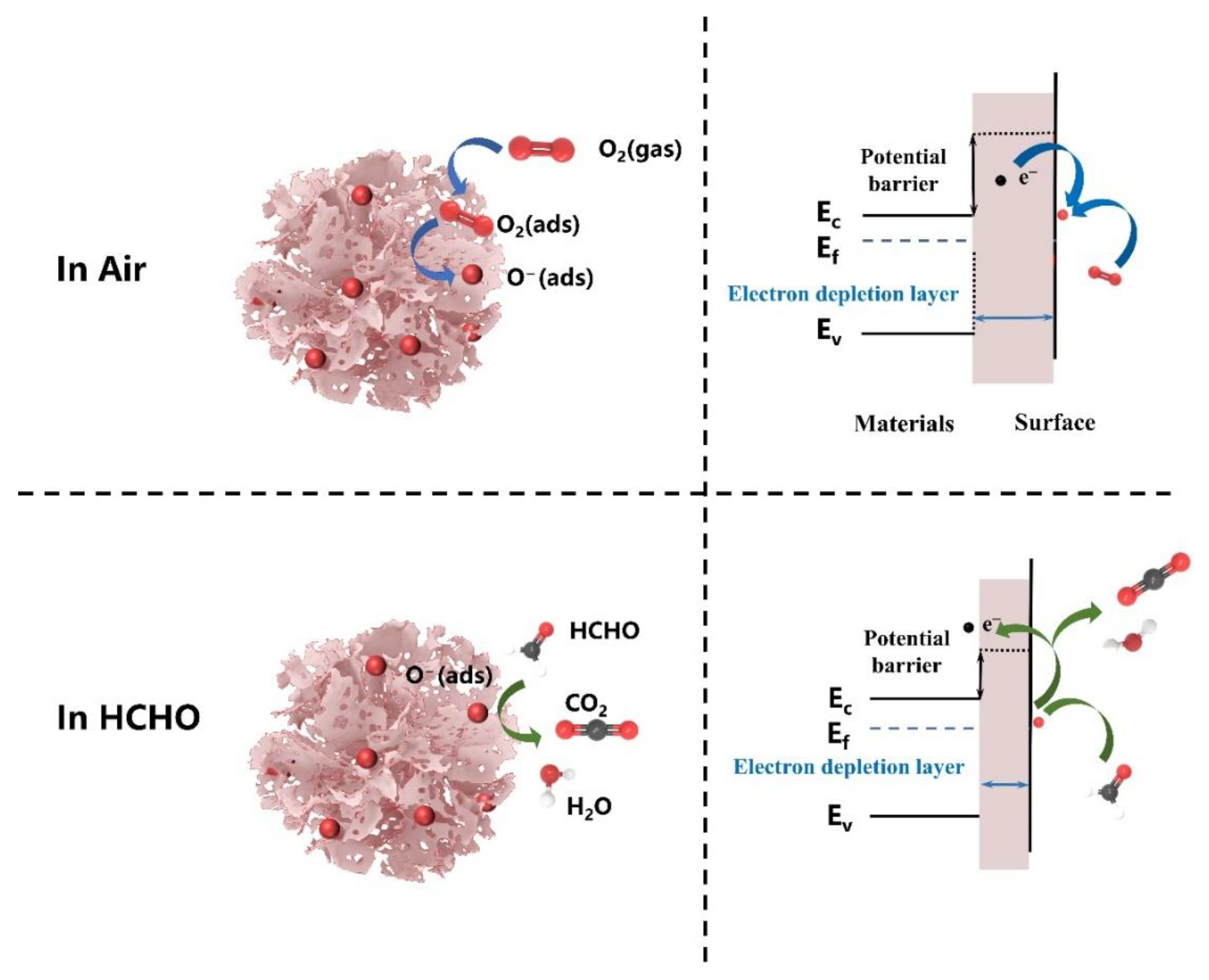 Nanomaterials 12 02133 g005