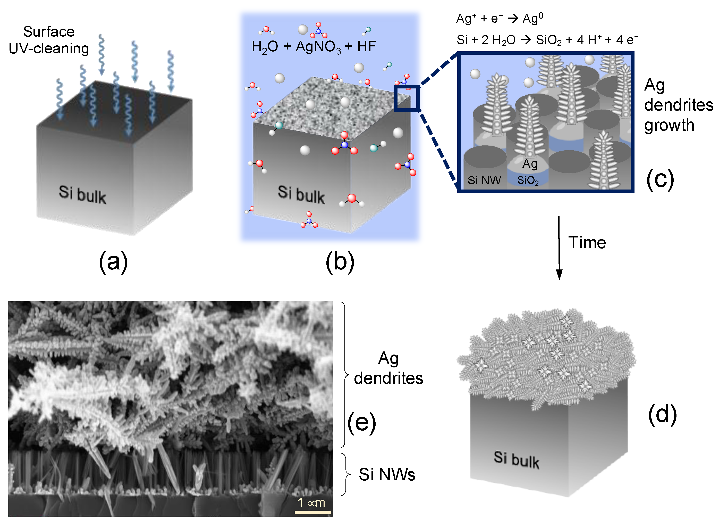 Nanomaterials 12 02134 g001
