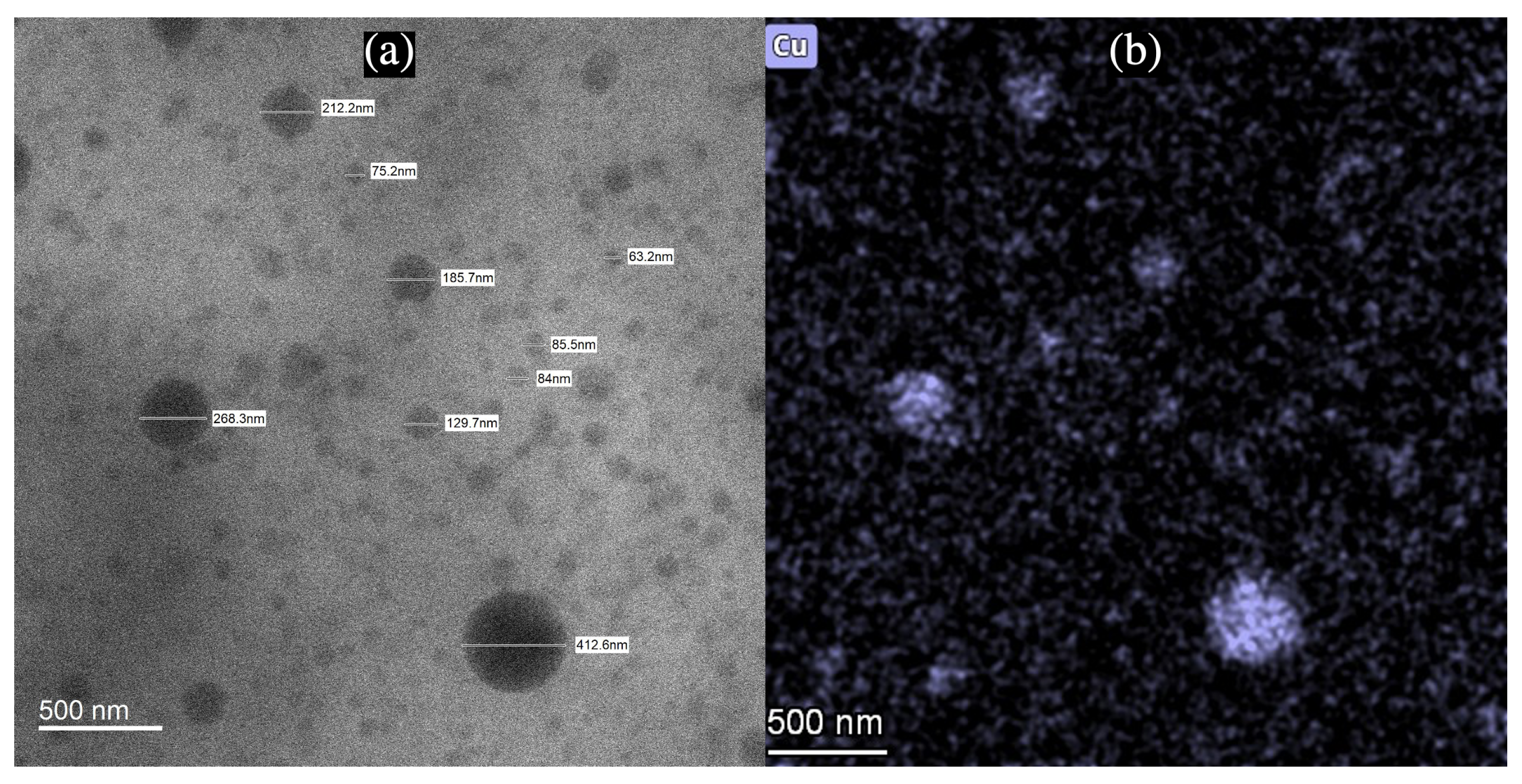 Nanomaterials 12 02139 g006 Nanomaterials 12 02139 g006