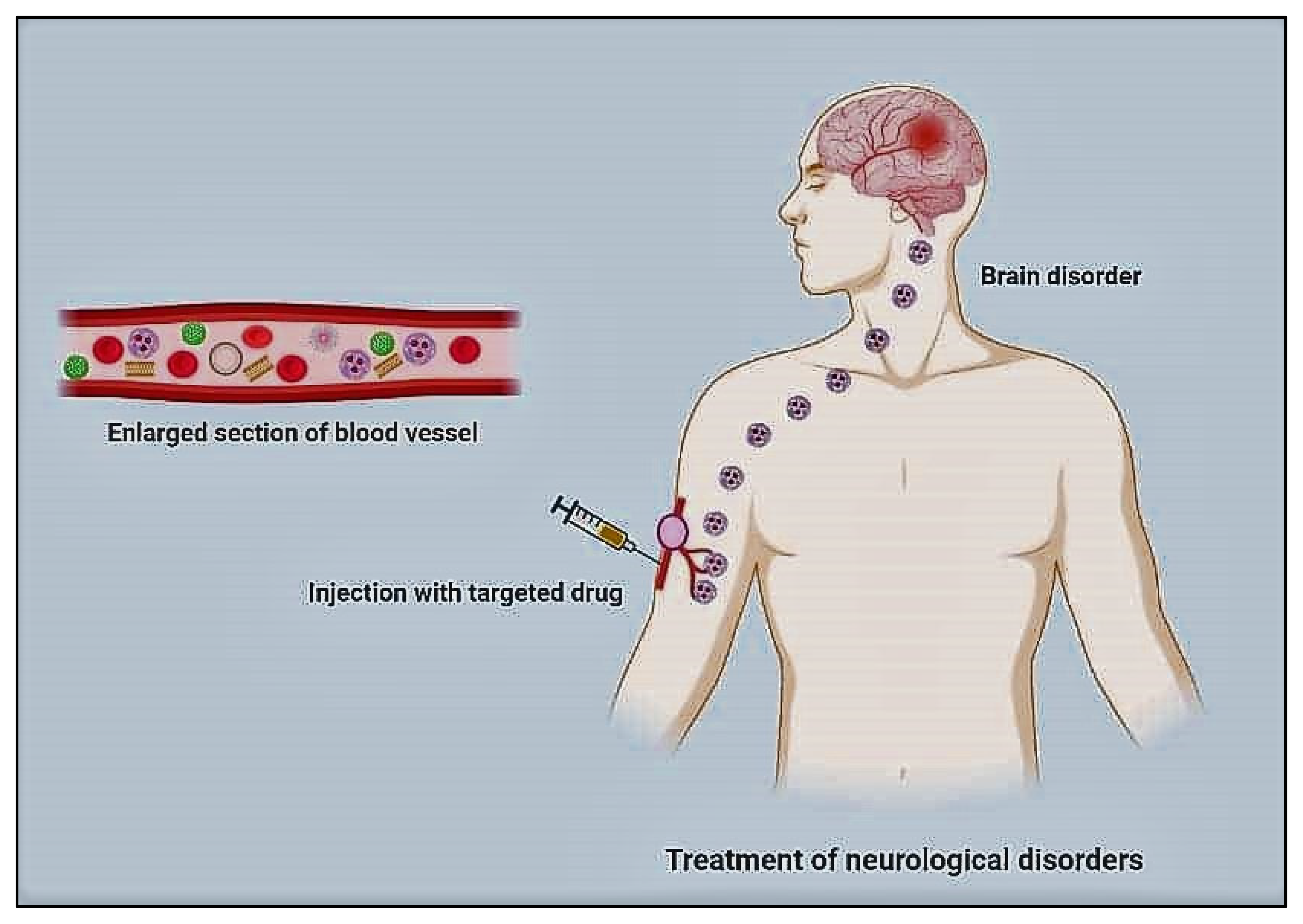 Nanomaterials 12 02140 g001