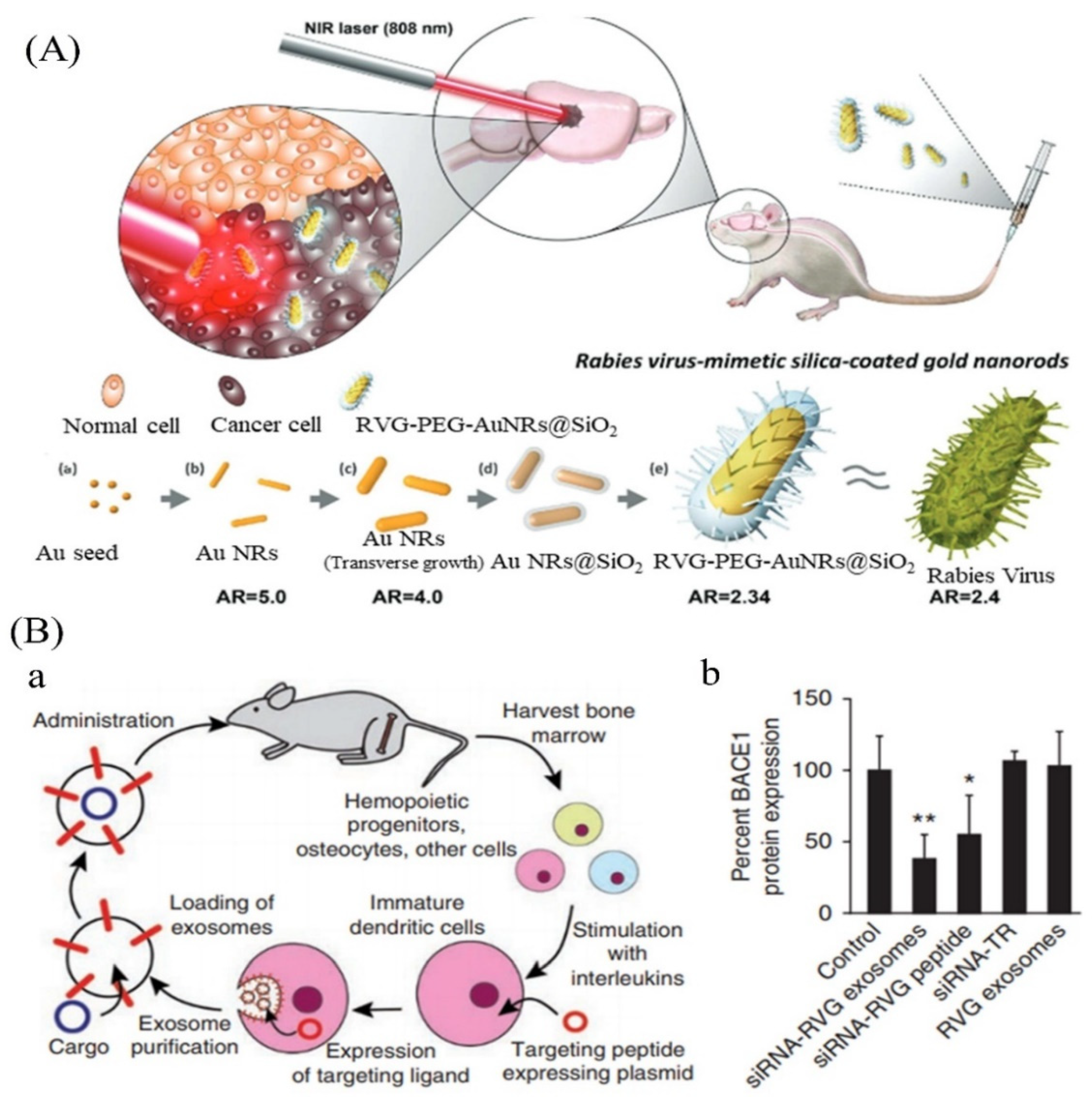 Nanomaterials 12 02140 g005