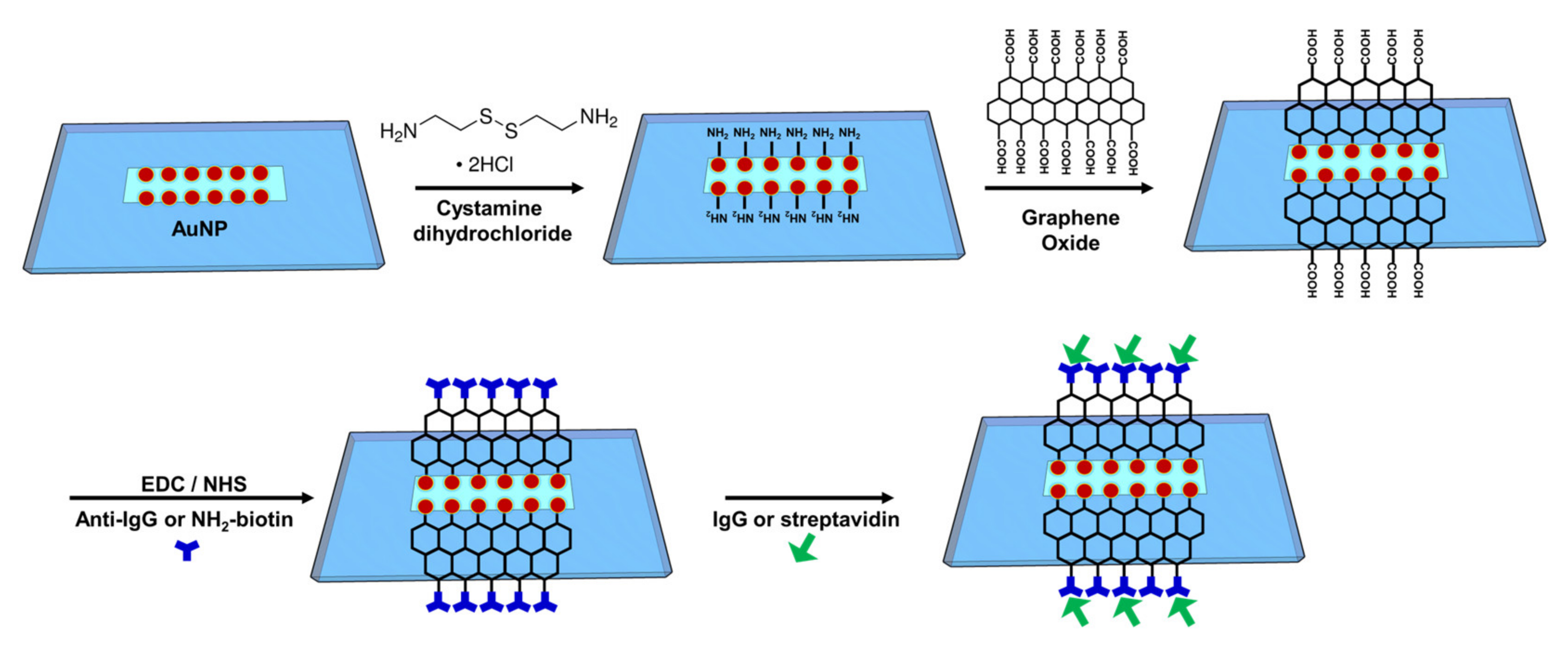 Nanomaterials 12 02146 g001