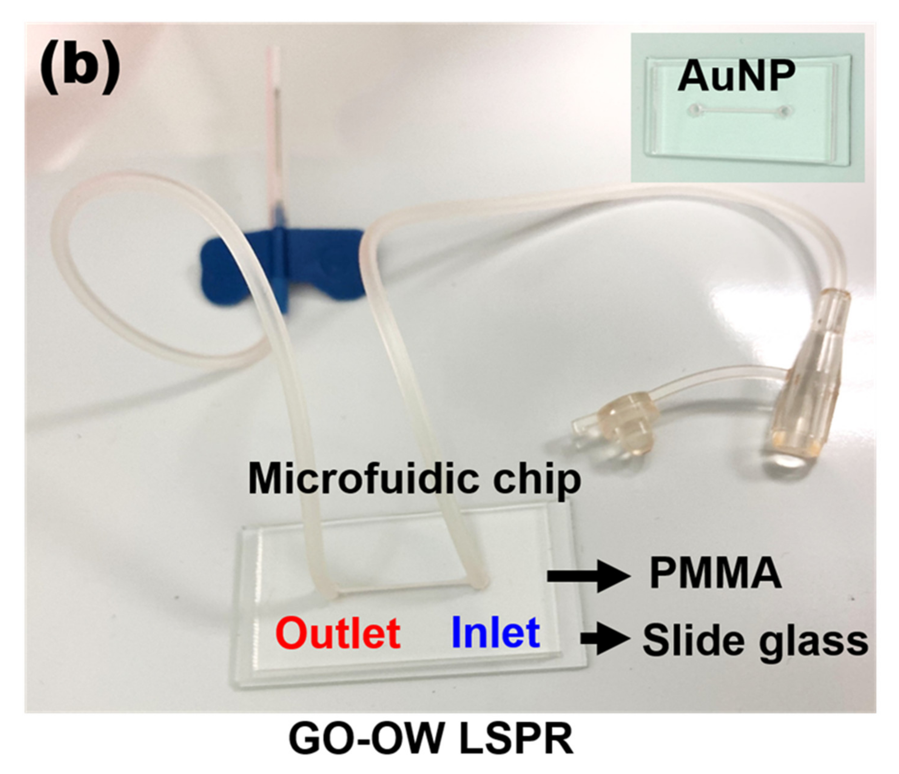 Nanomaterials 12 02146 g002b