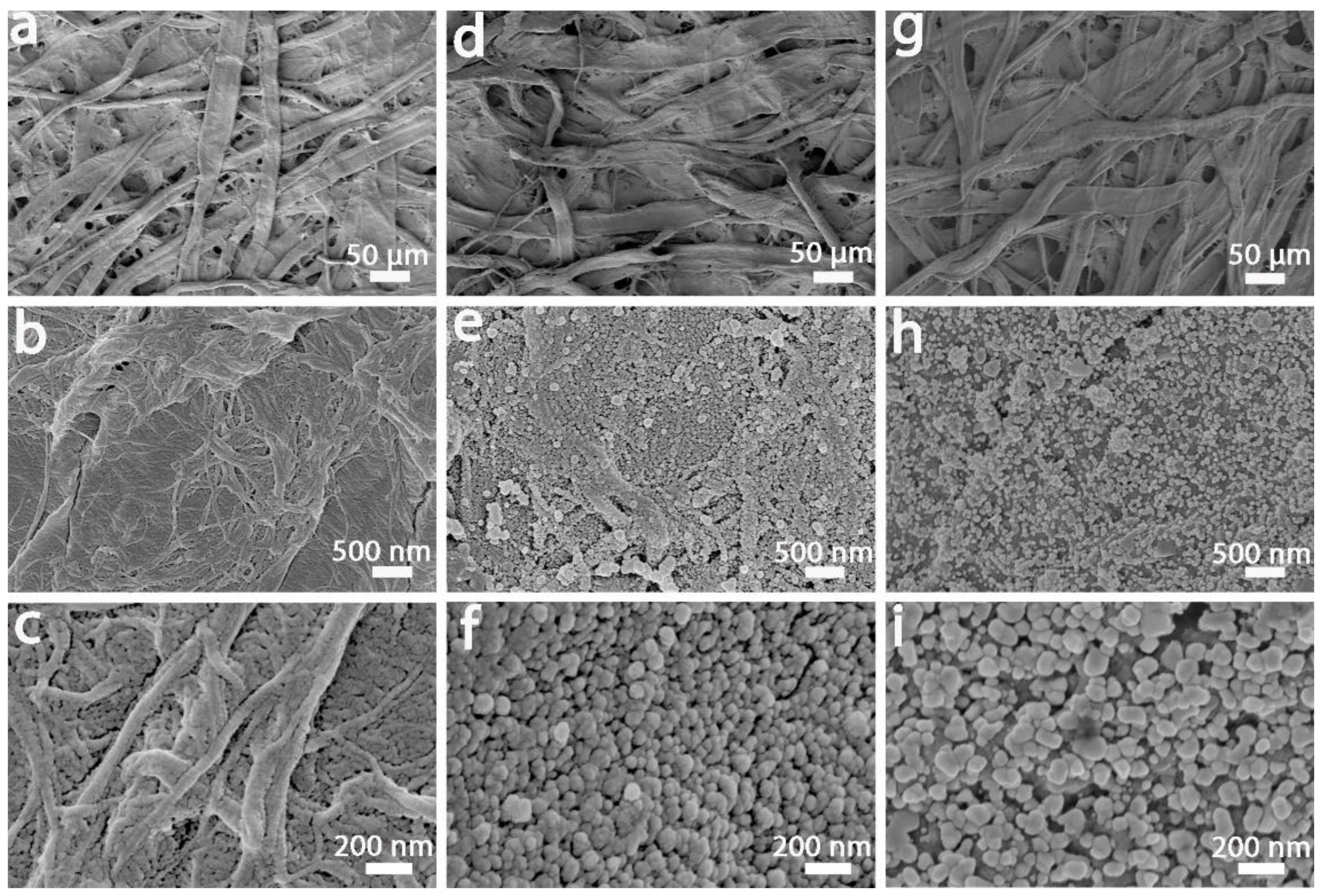 Nanomaterials 12 02163 g002