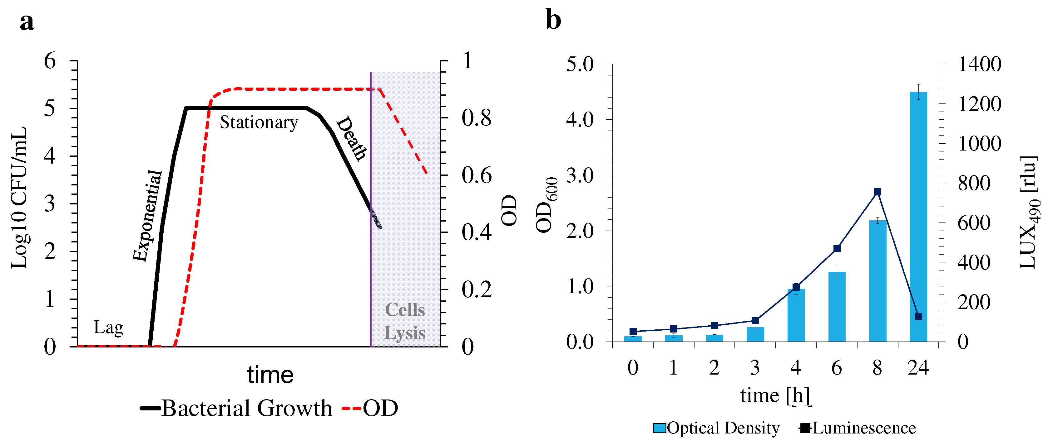 Nanomaterials 12 02164 g003