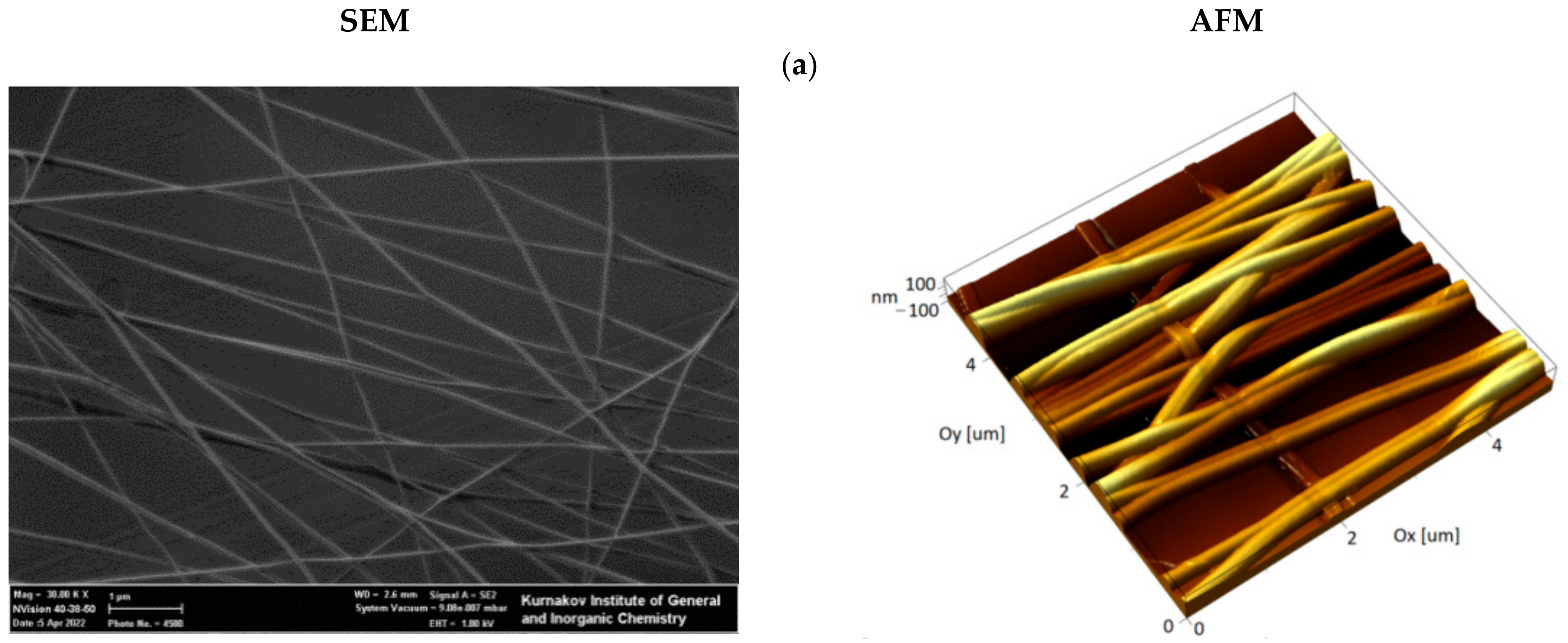 Nanomaterials 12 02166 g002a