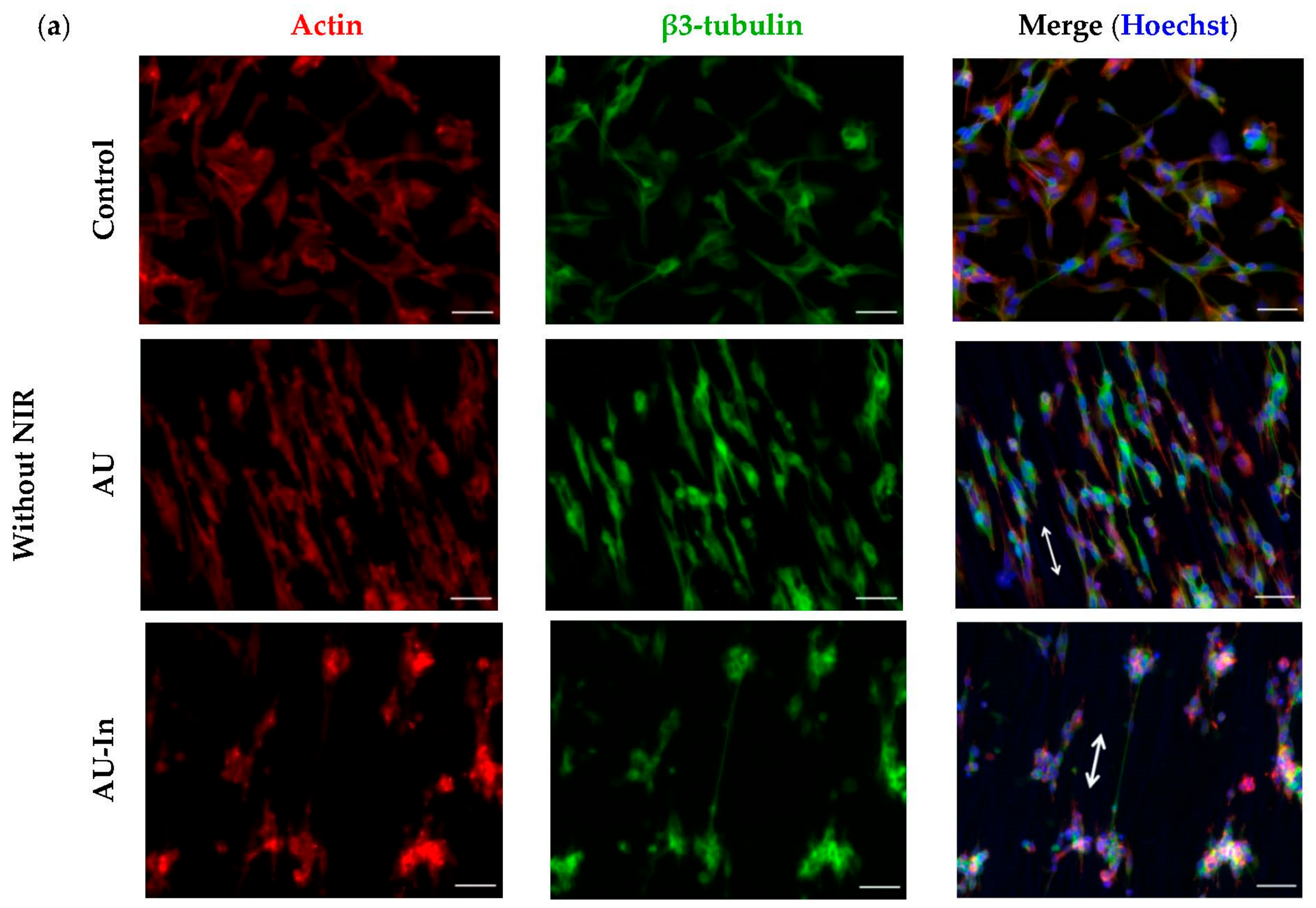 Nanomaterials 12 02166 g006a