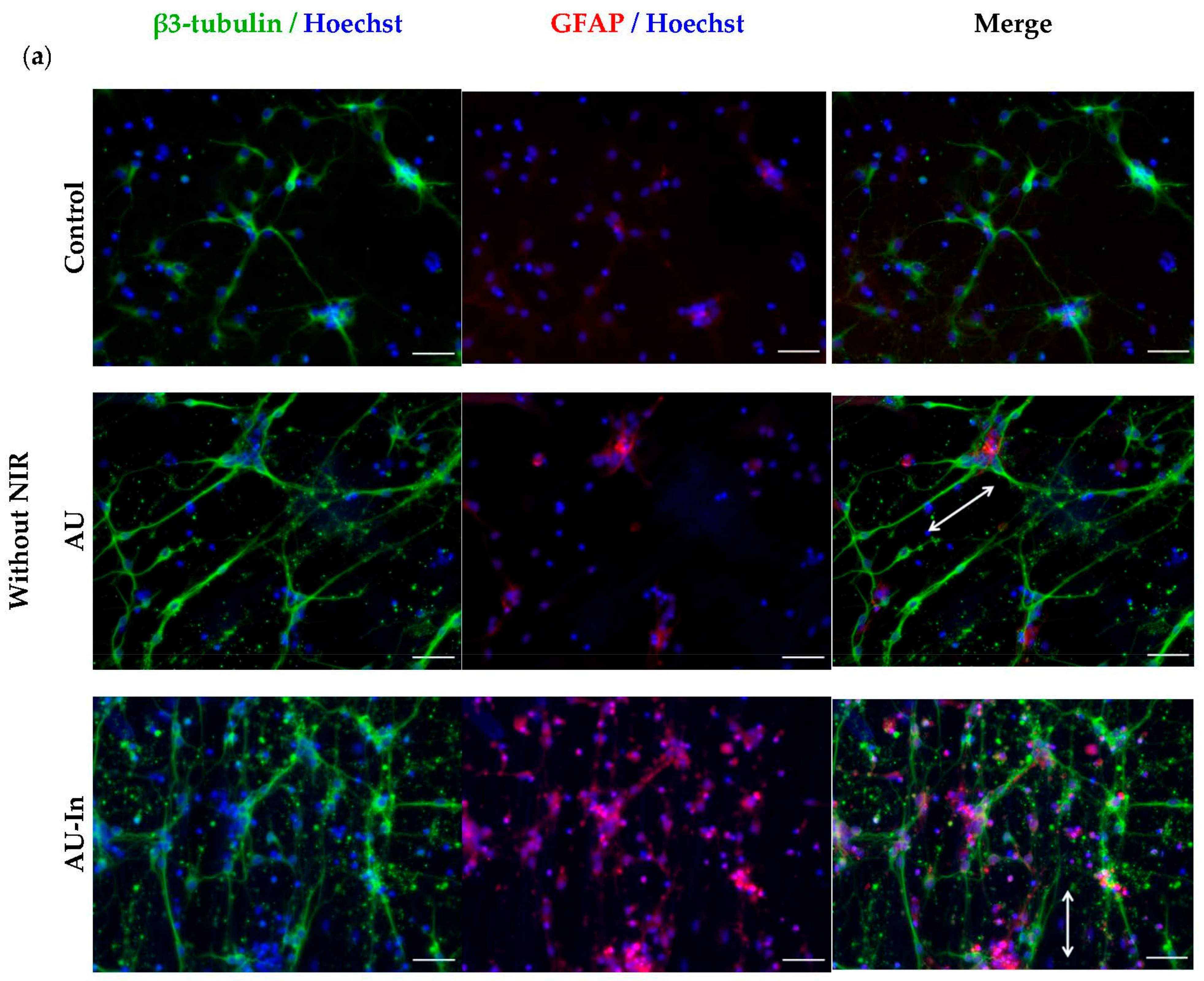 Nanomaterials 12 02166 g007a