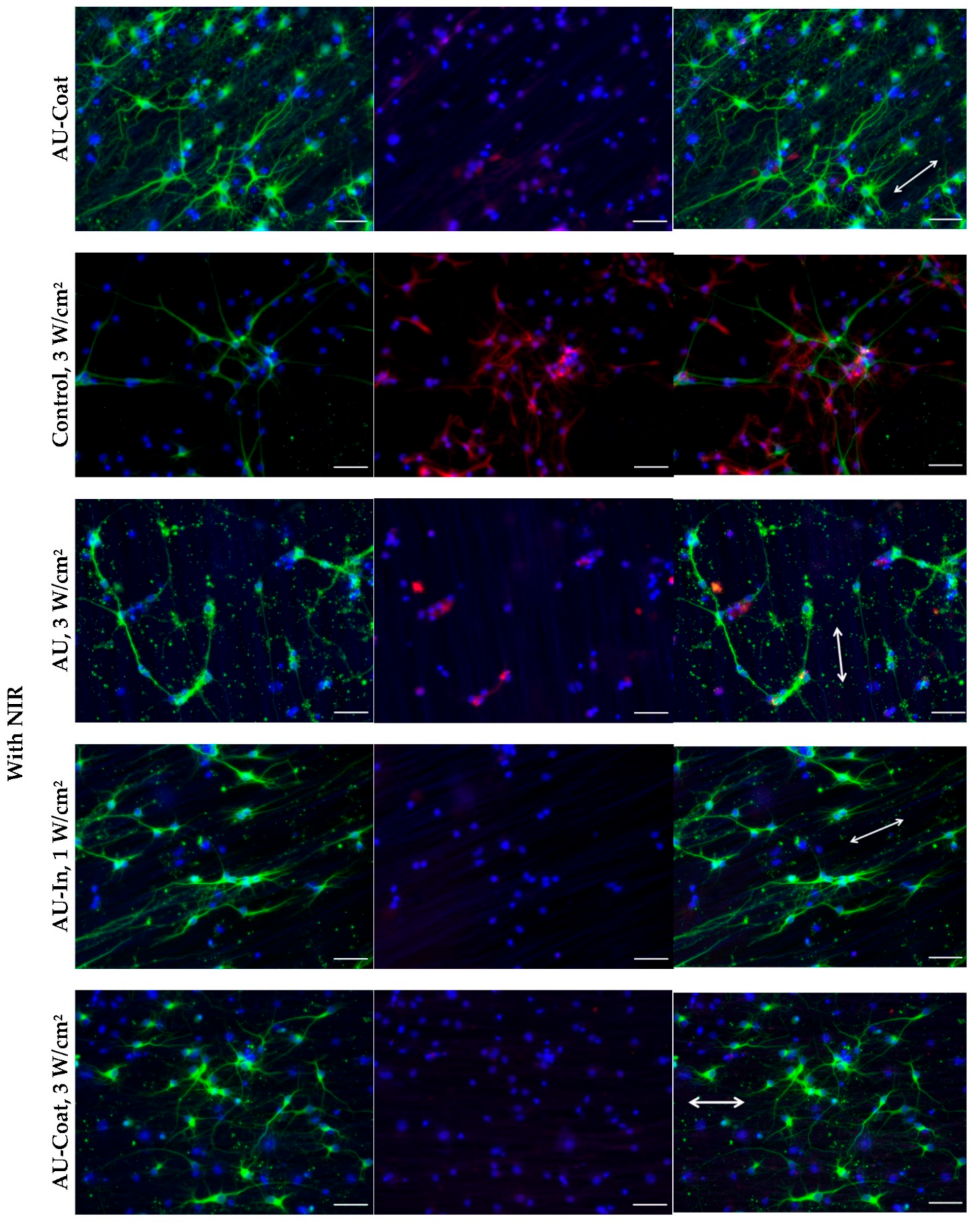 Nanomaterials 12 02166 g007b