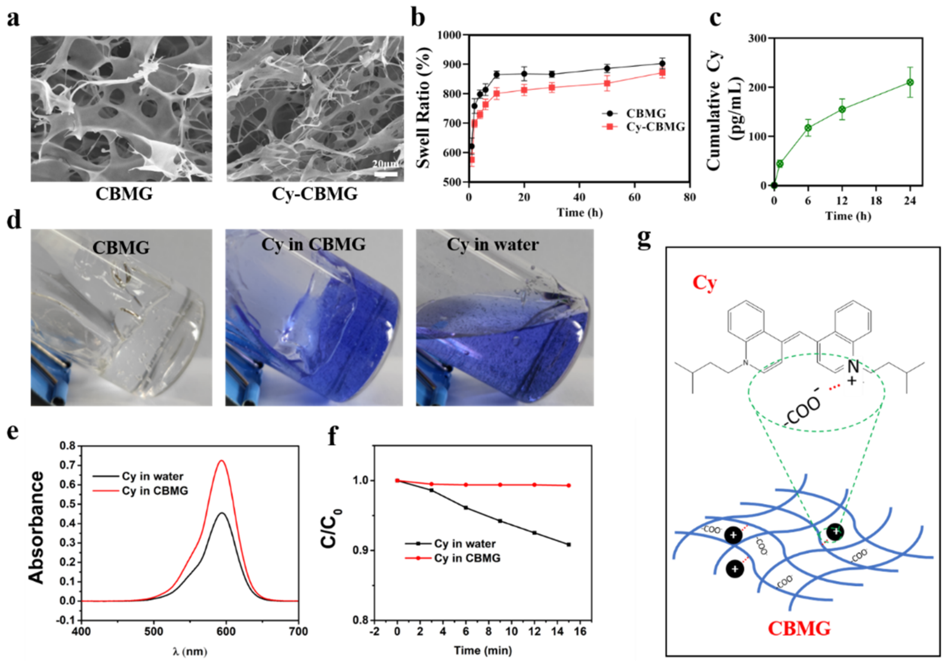 Nanomaterials 12 02173 g001