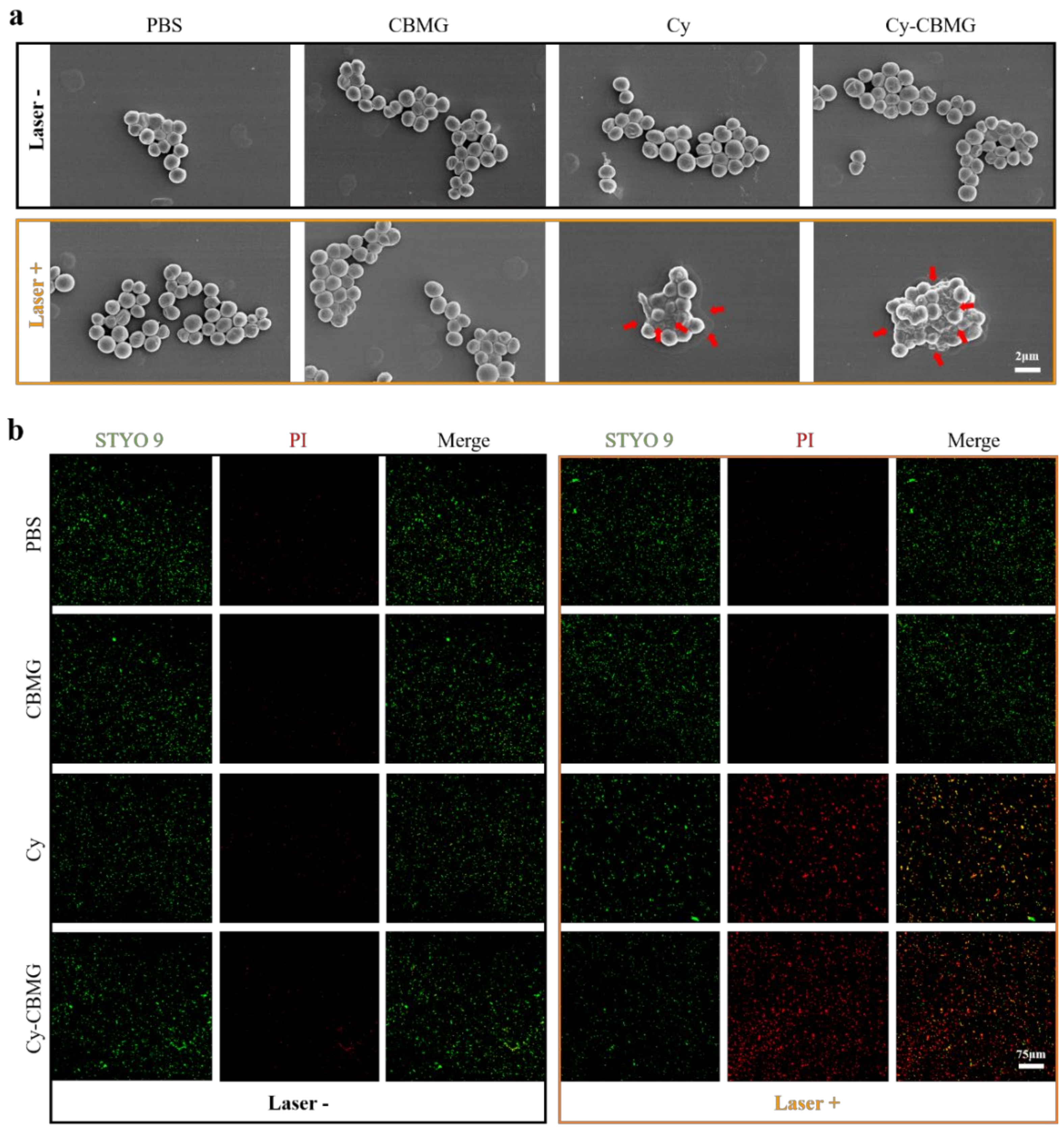 Nanomaterials 12 02173 g004
