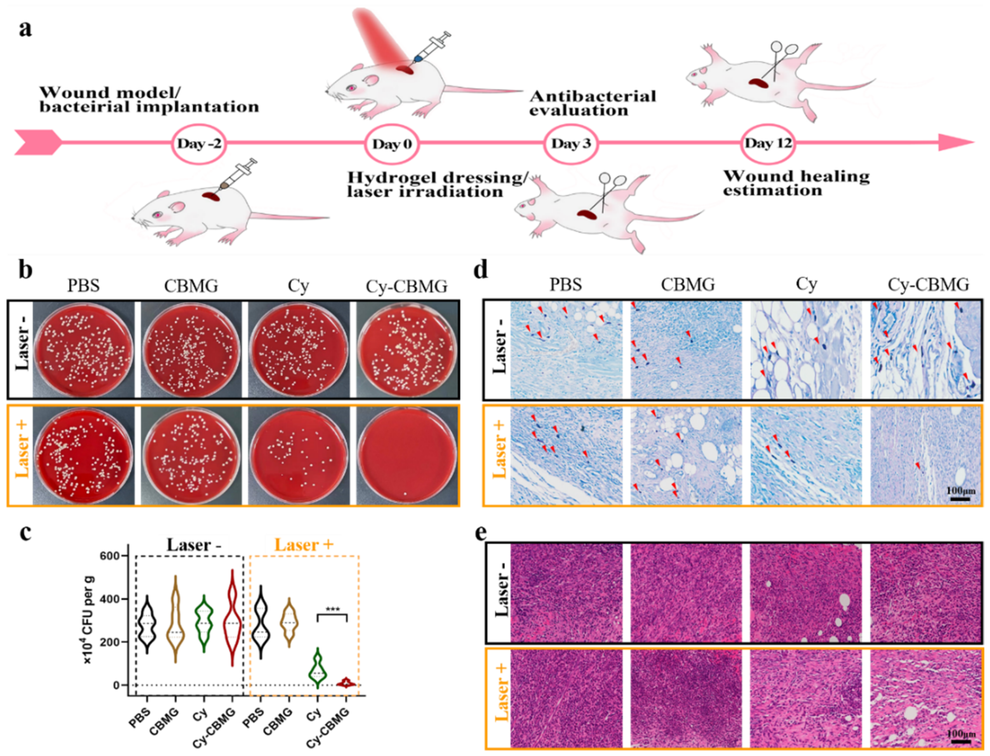 Nanomaterials 12 02173 g005