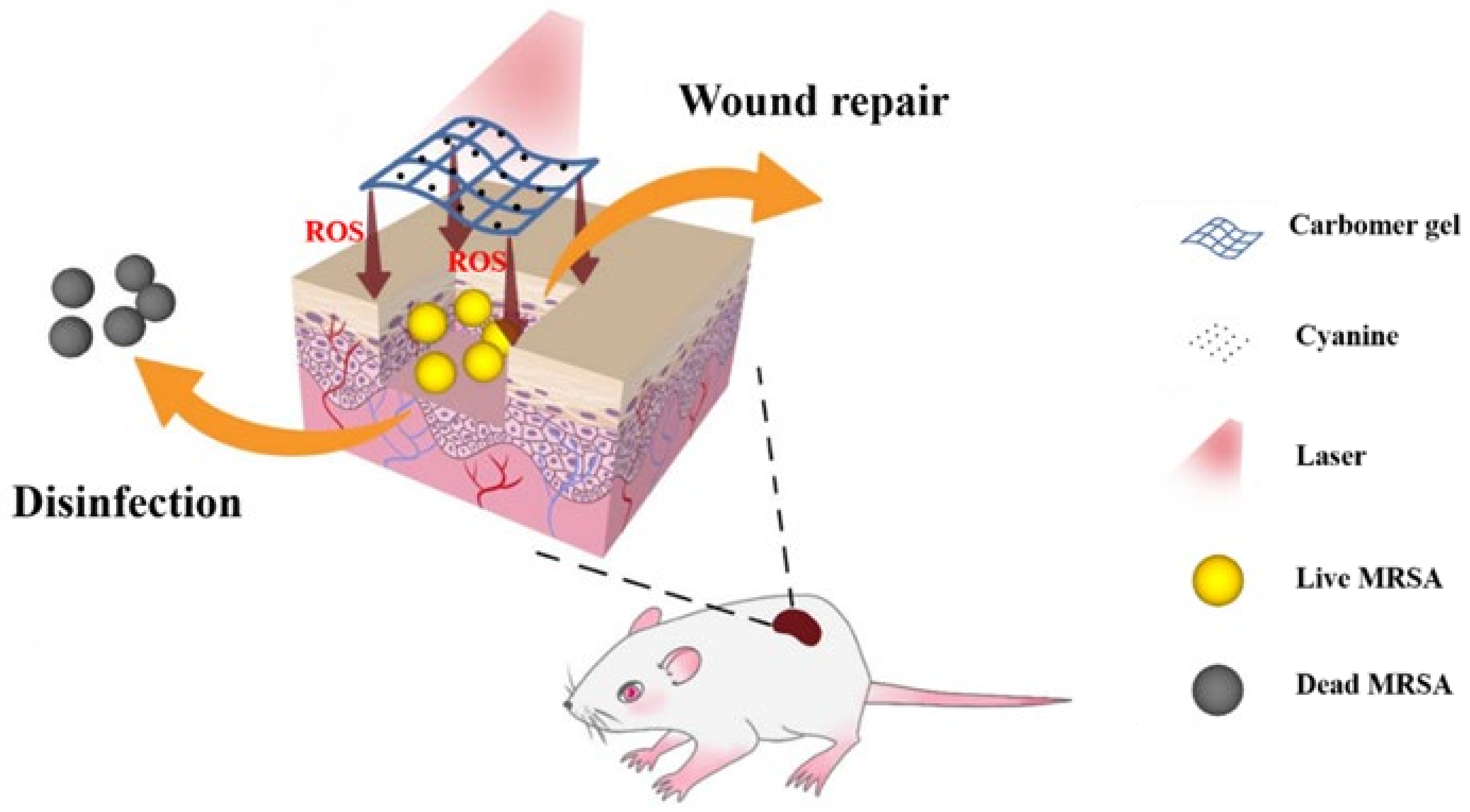 Nanomaterials 12 02173 sch001