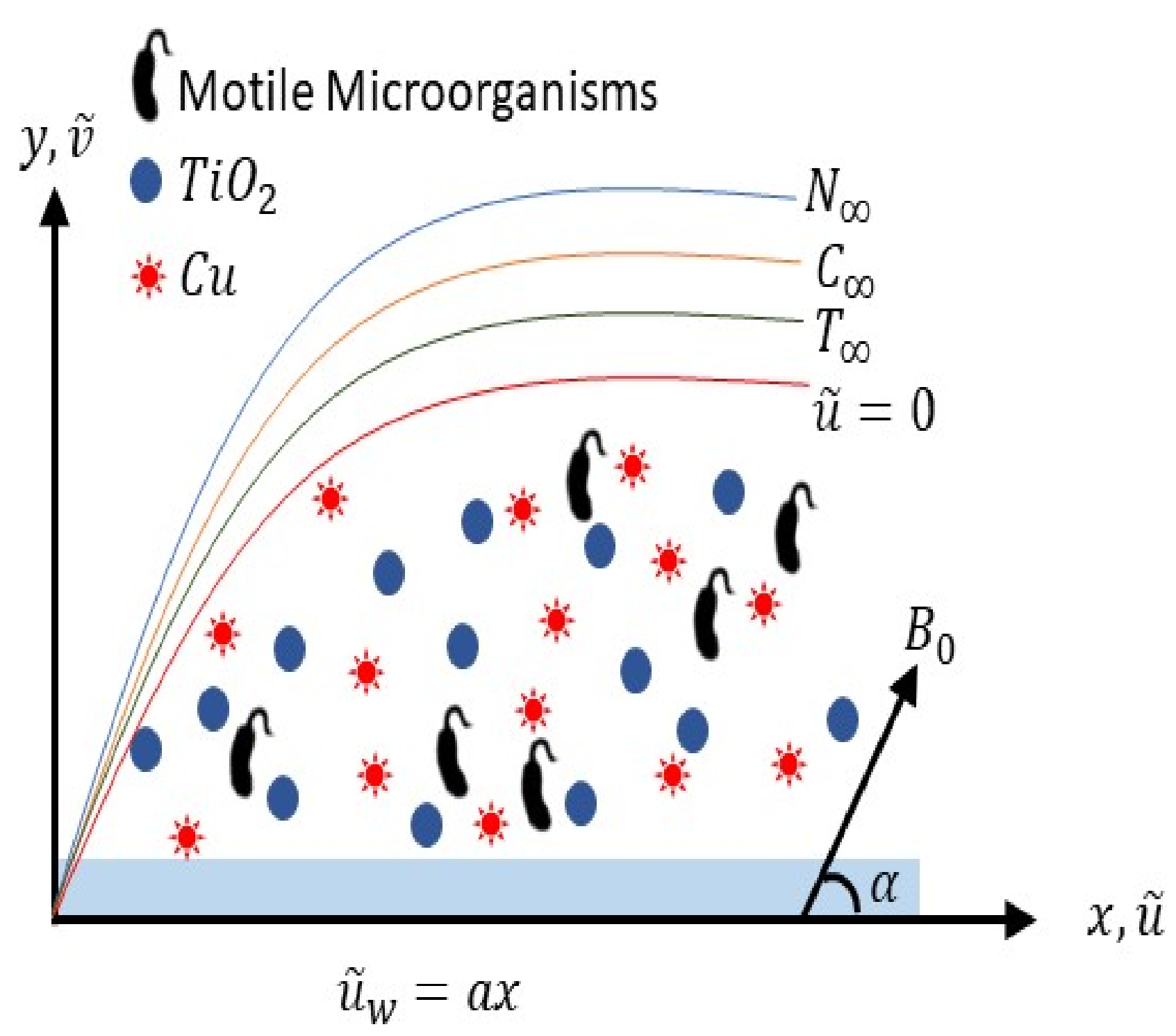 Nanomaterials 12 02174 g001 550
