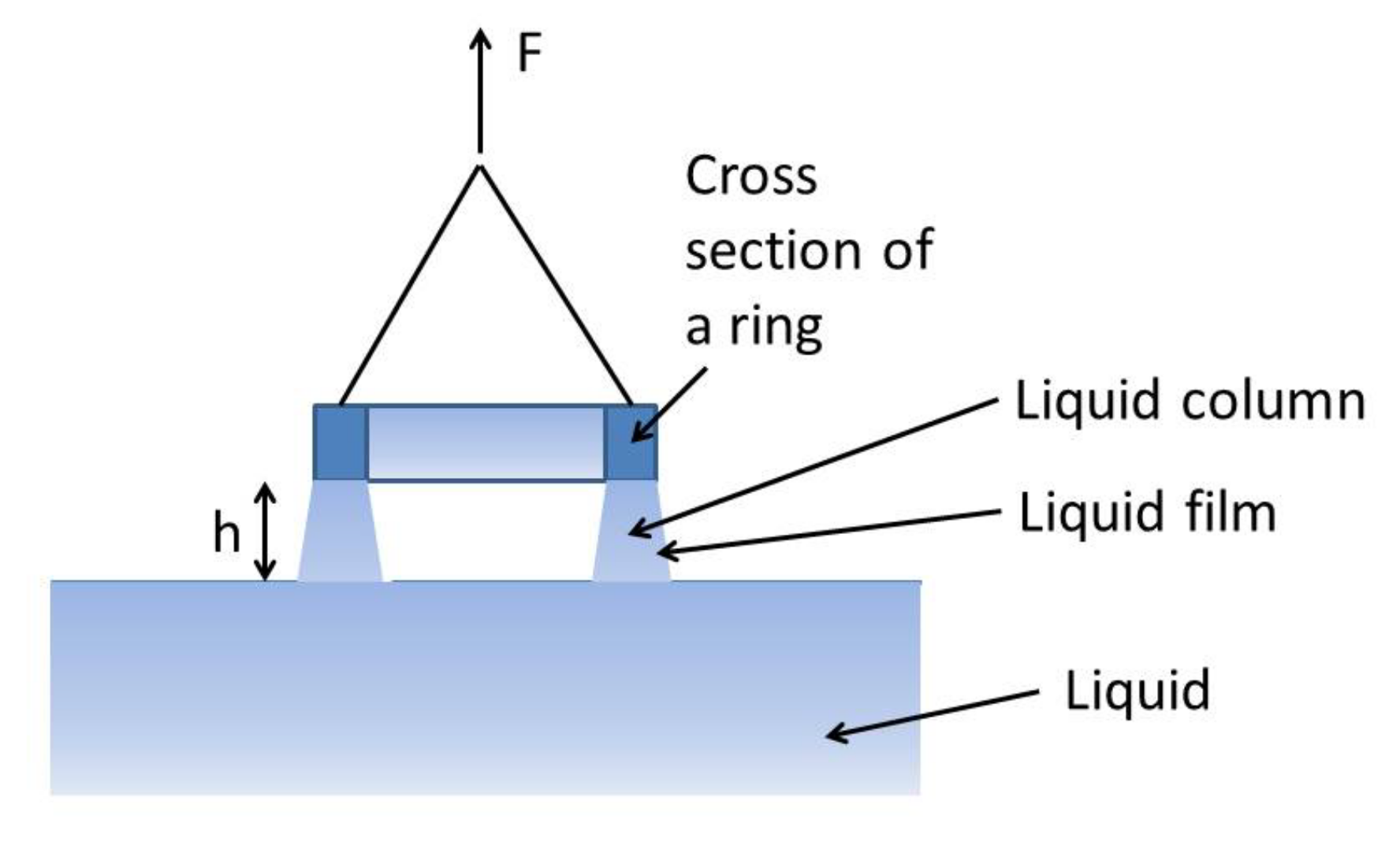 Nanomaterials 12 02175 g010 550