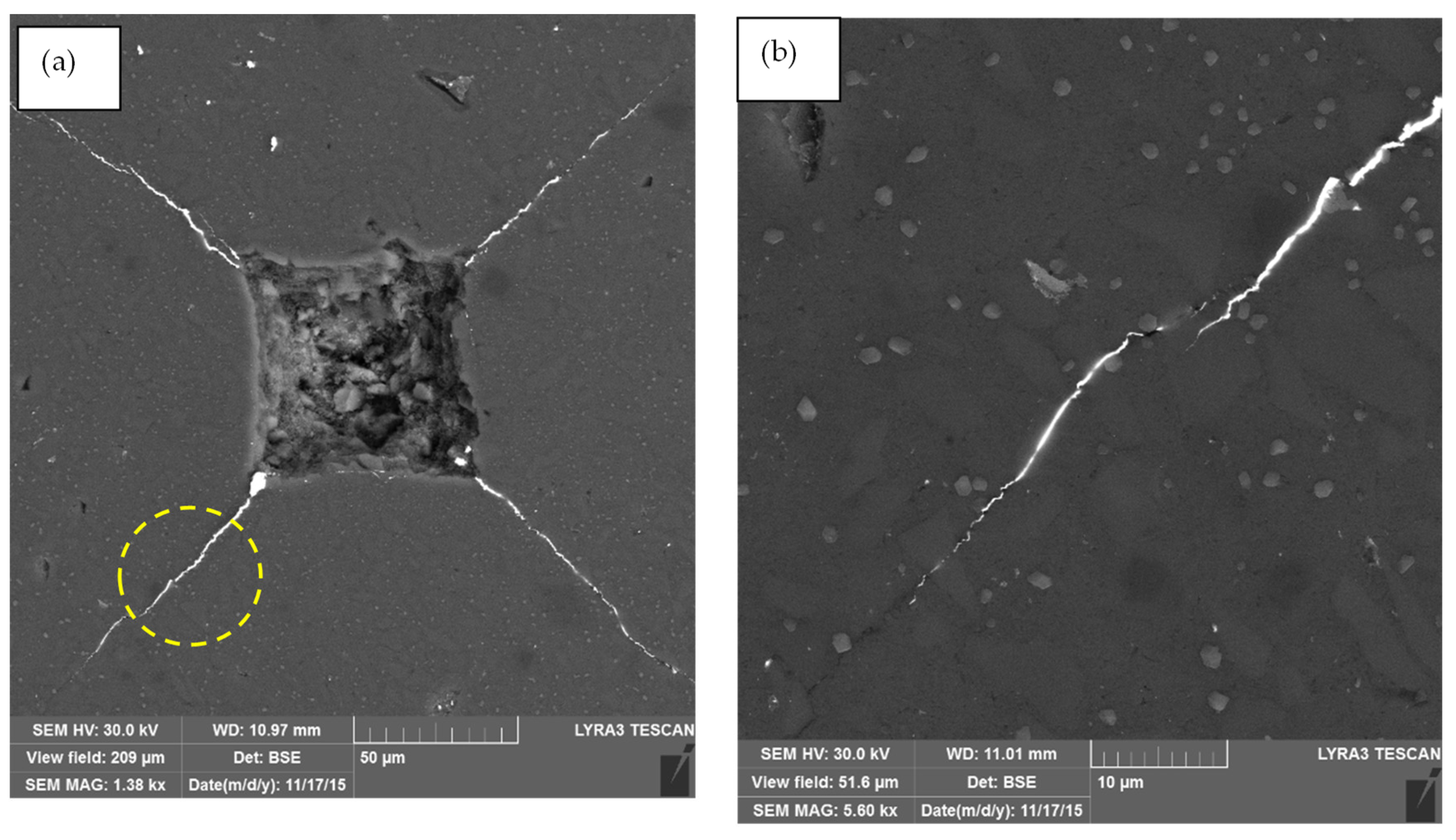 Nanomaterials 12 02176 g011 550
