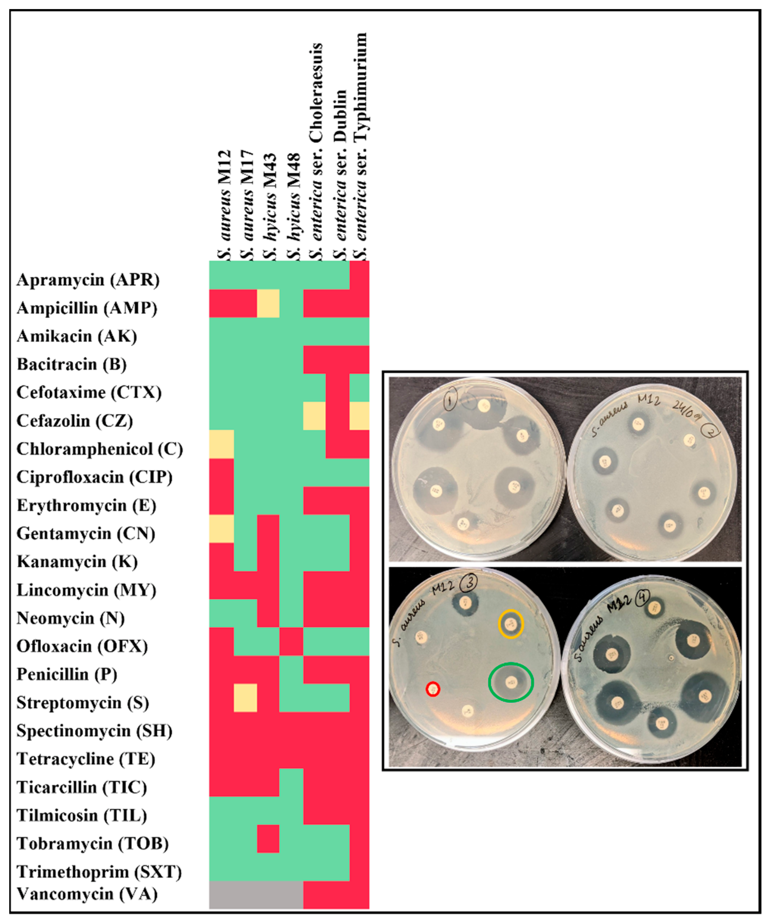 Nanomaterials 12 02179 g001 550