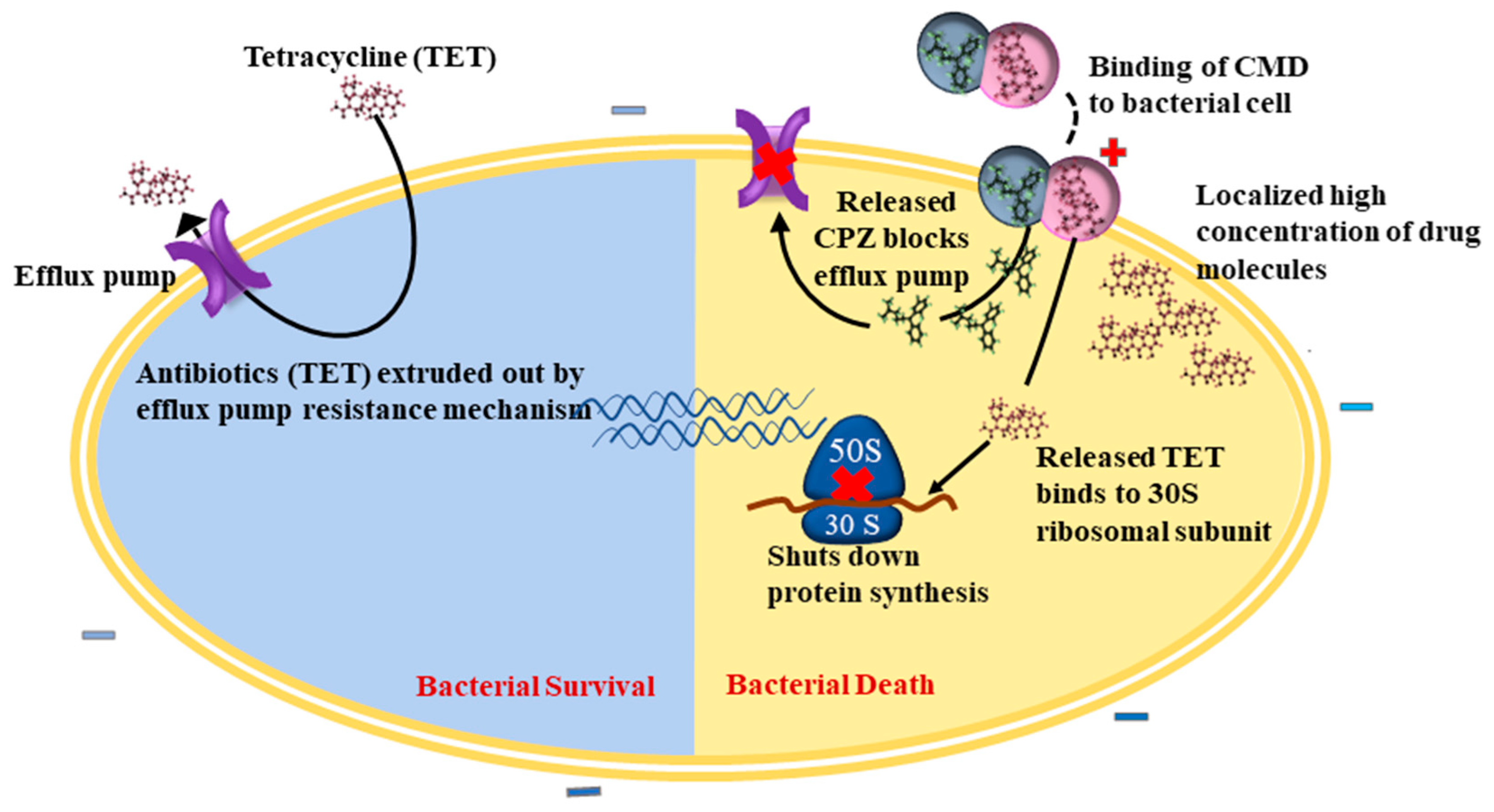Nanomaterials 12 02179 g006 550