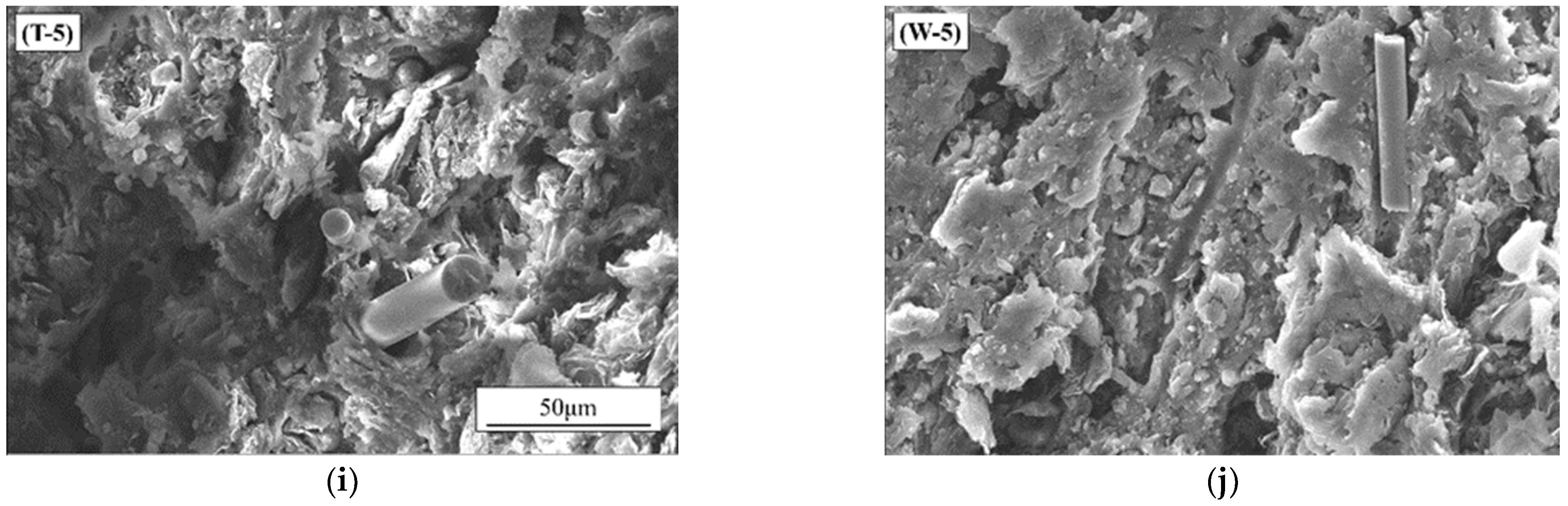 Nanomaterials 12 02182 g003b
