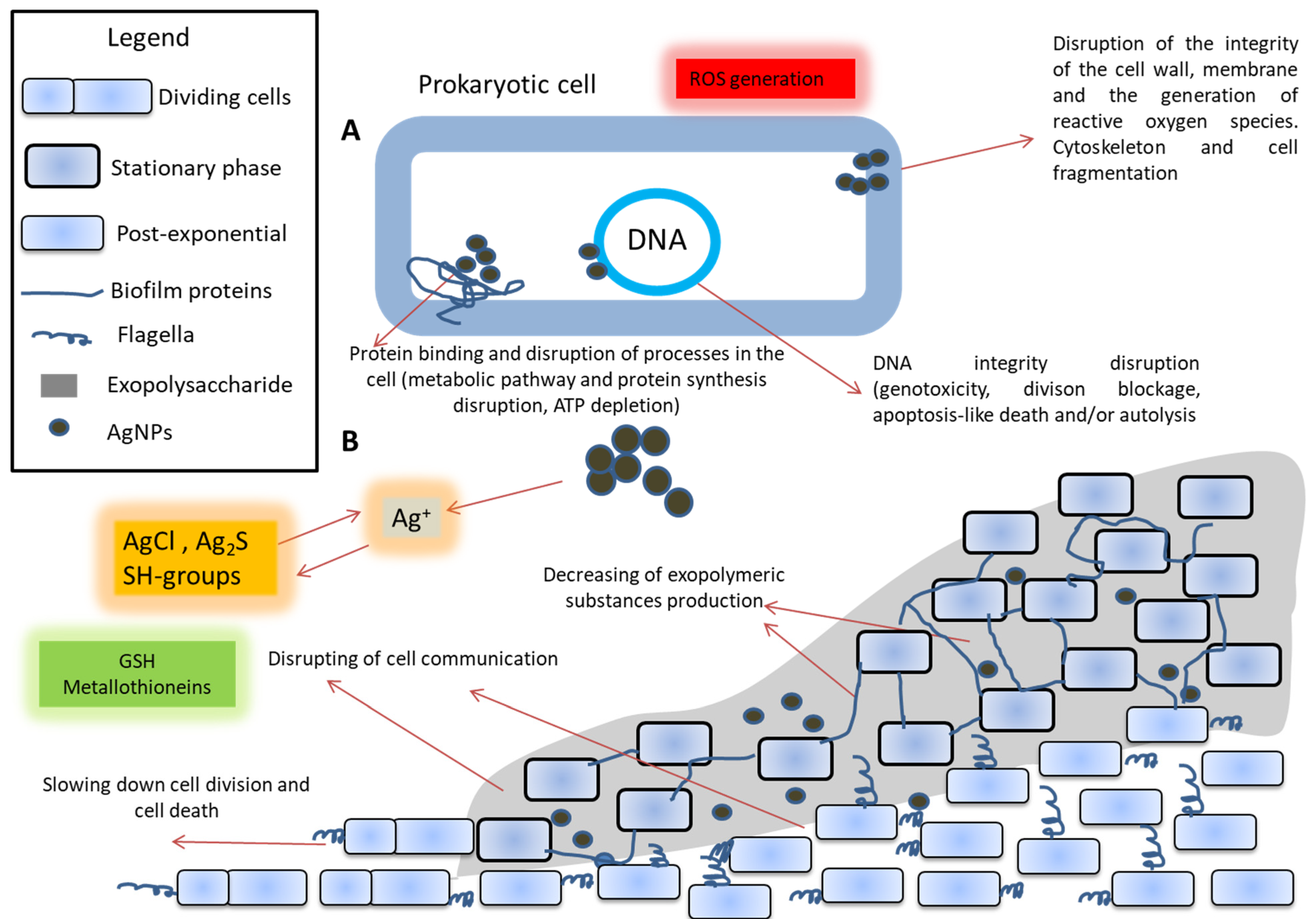 Nanomaterials 12 02183 g002