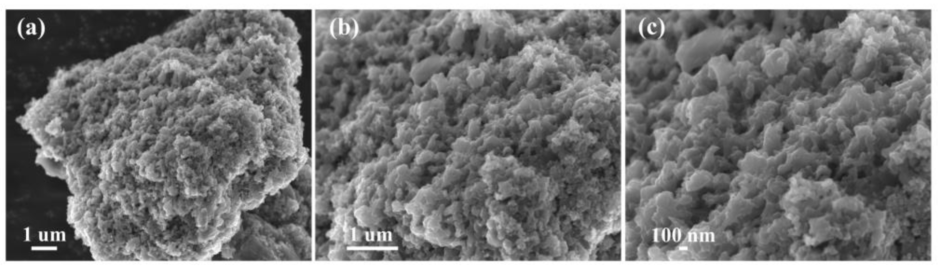 Nanomaterials 12 02186 g009