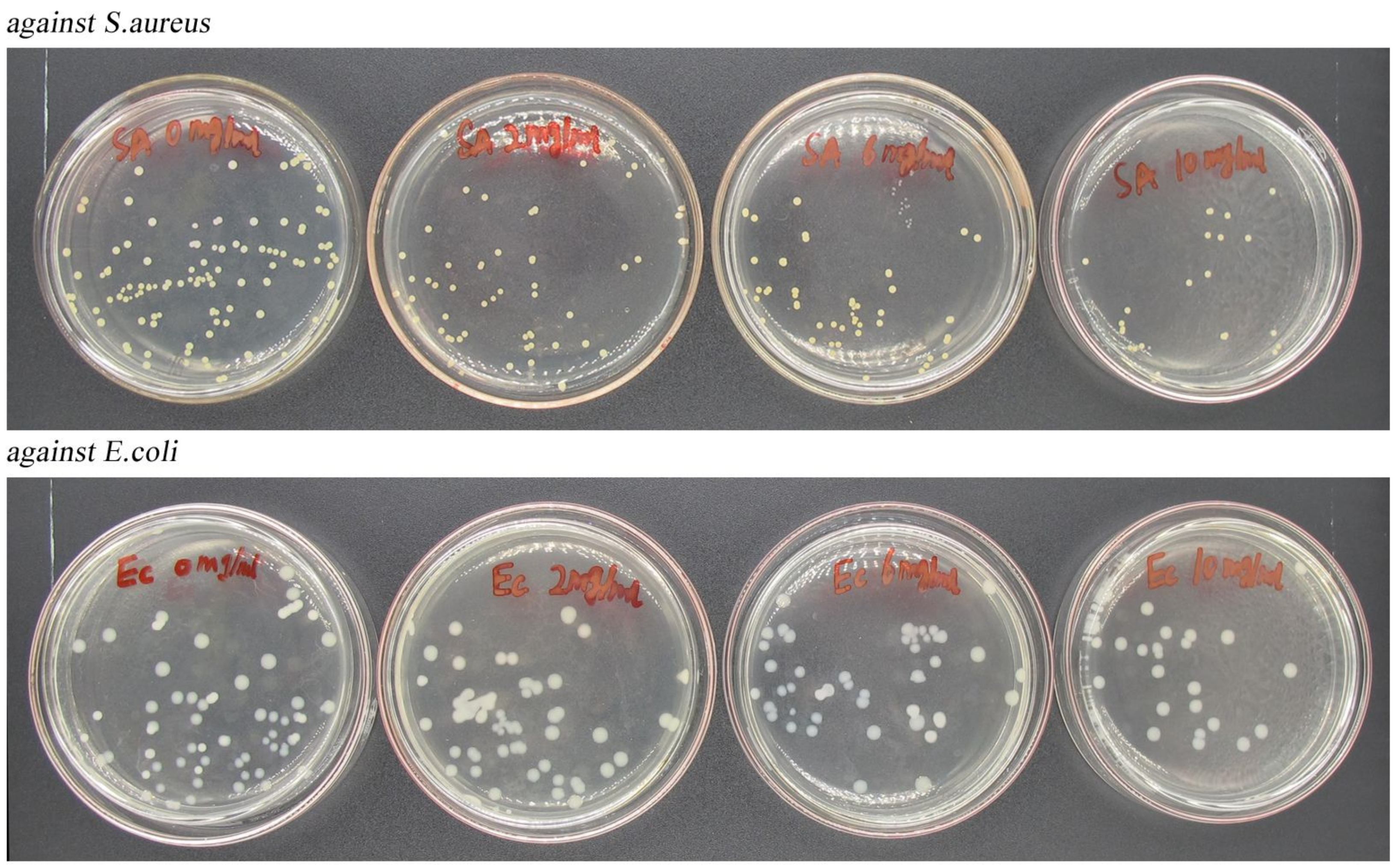 Nanomaterials 12 02189 g013