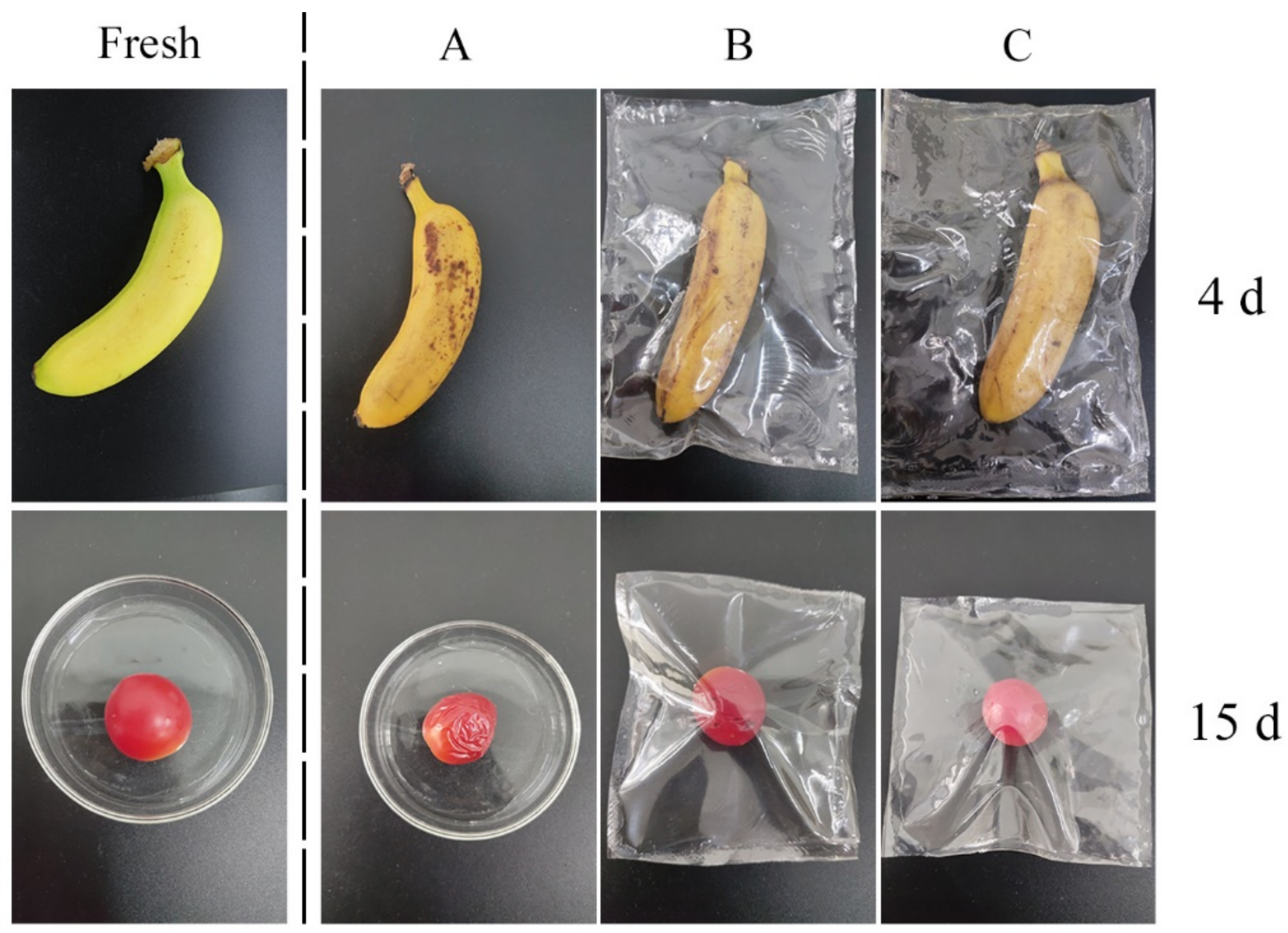 Nanomaterials 12 02189 g014