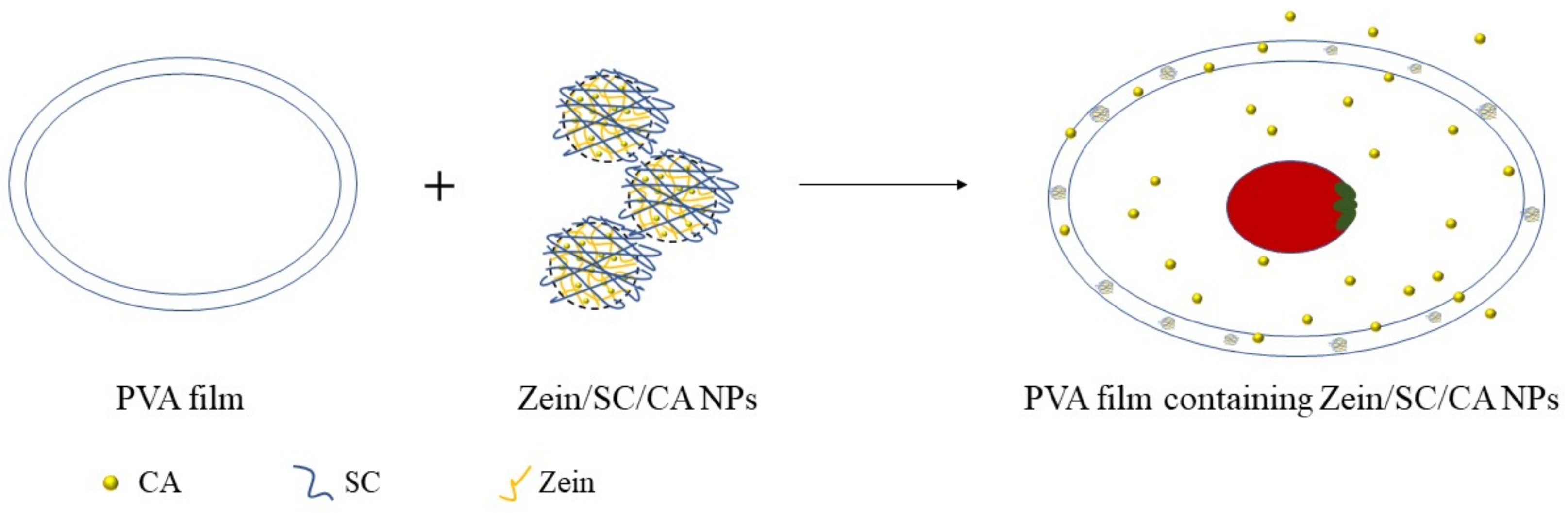 Nanomaterials 12 02189 g015