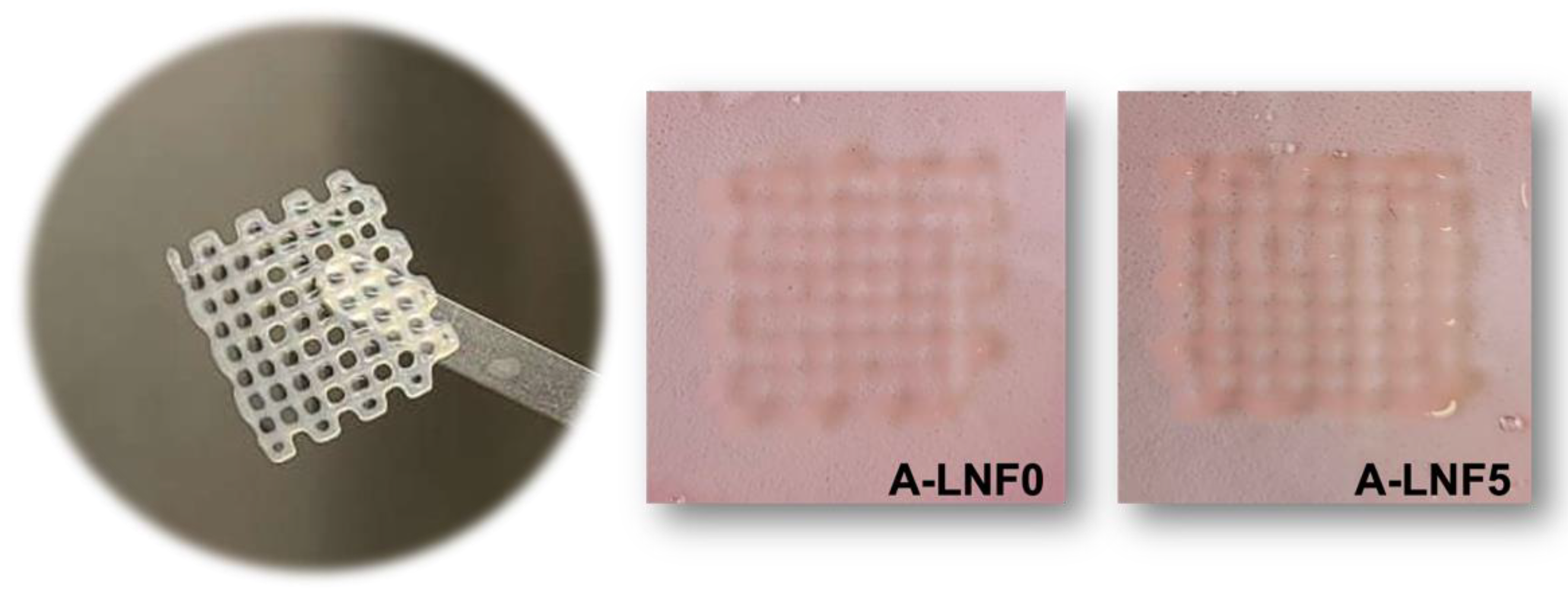 Nanomaterials 12 02190 g009 550