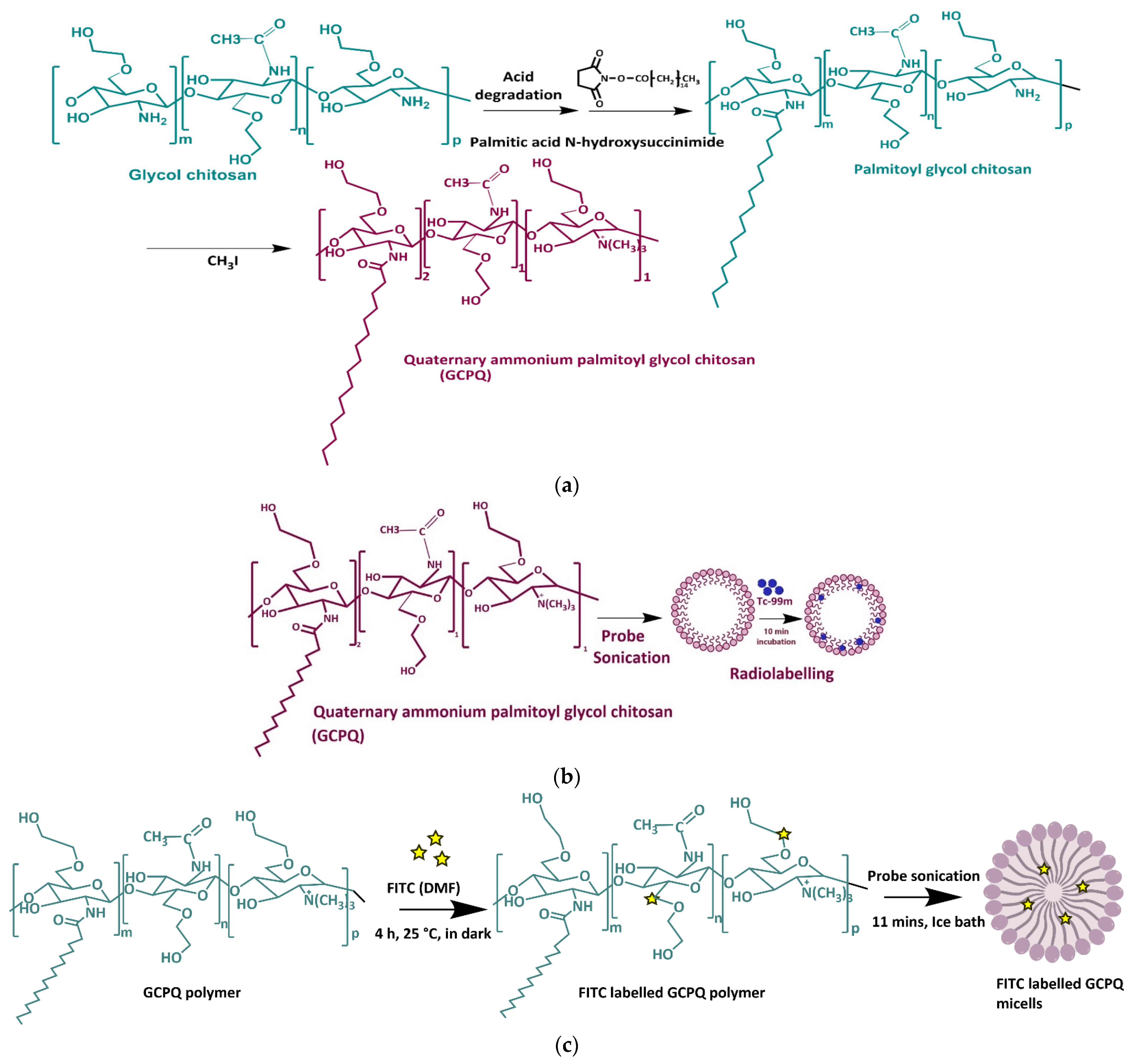 Nanomaterials 12 02198 g001
