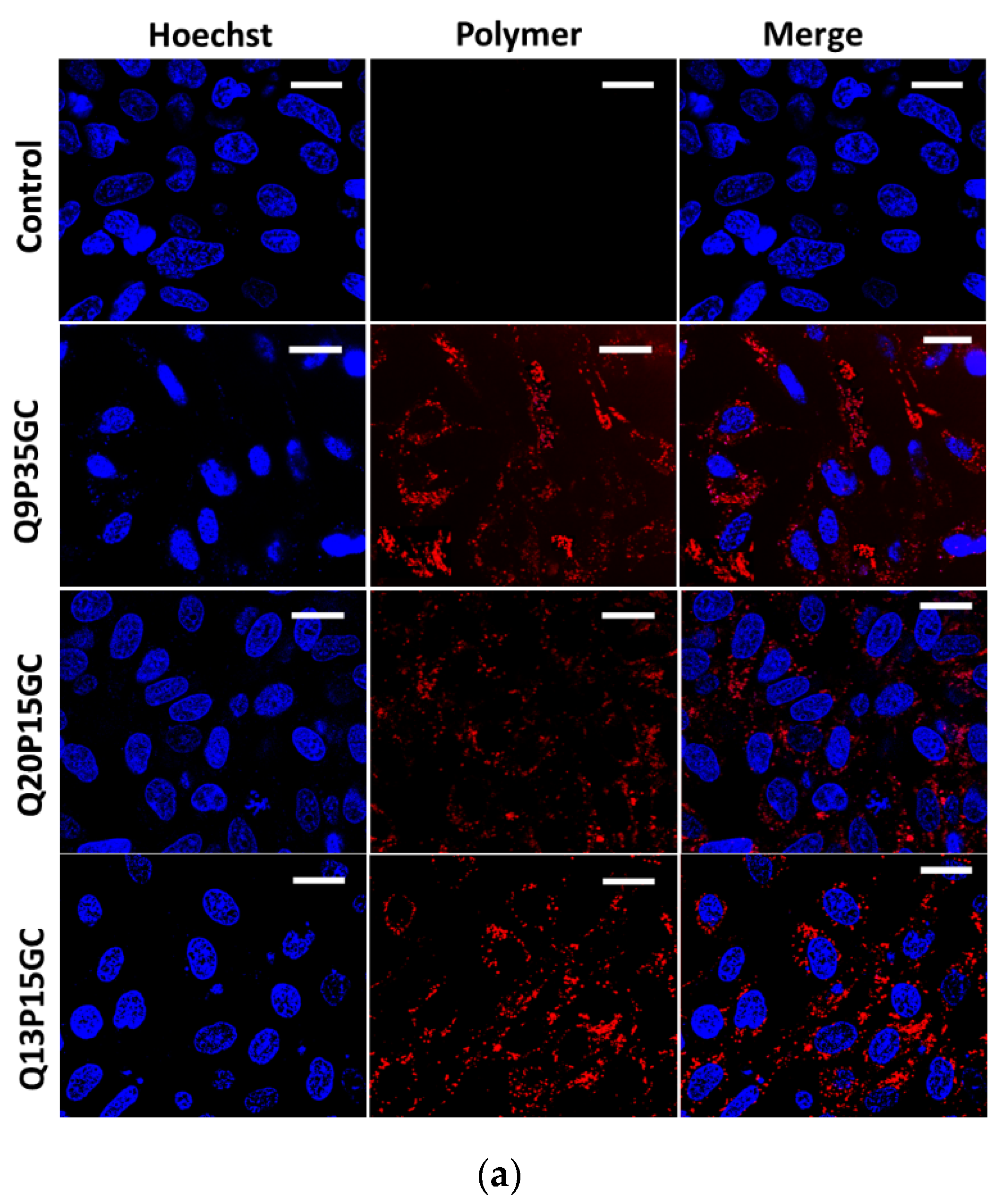 Nanomaterials 12 02198 g003a