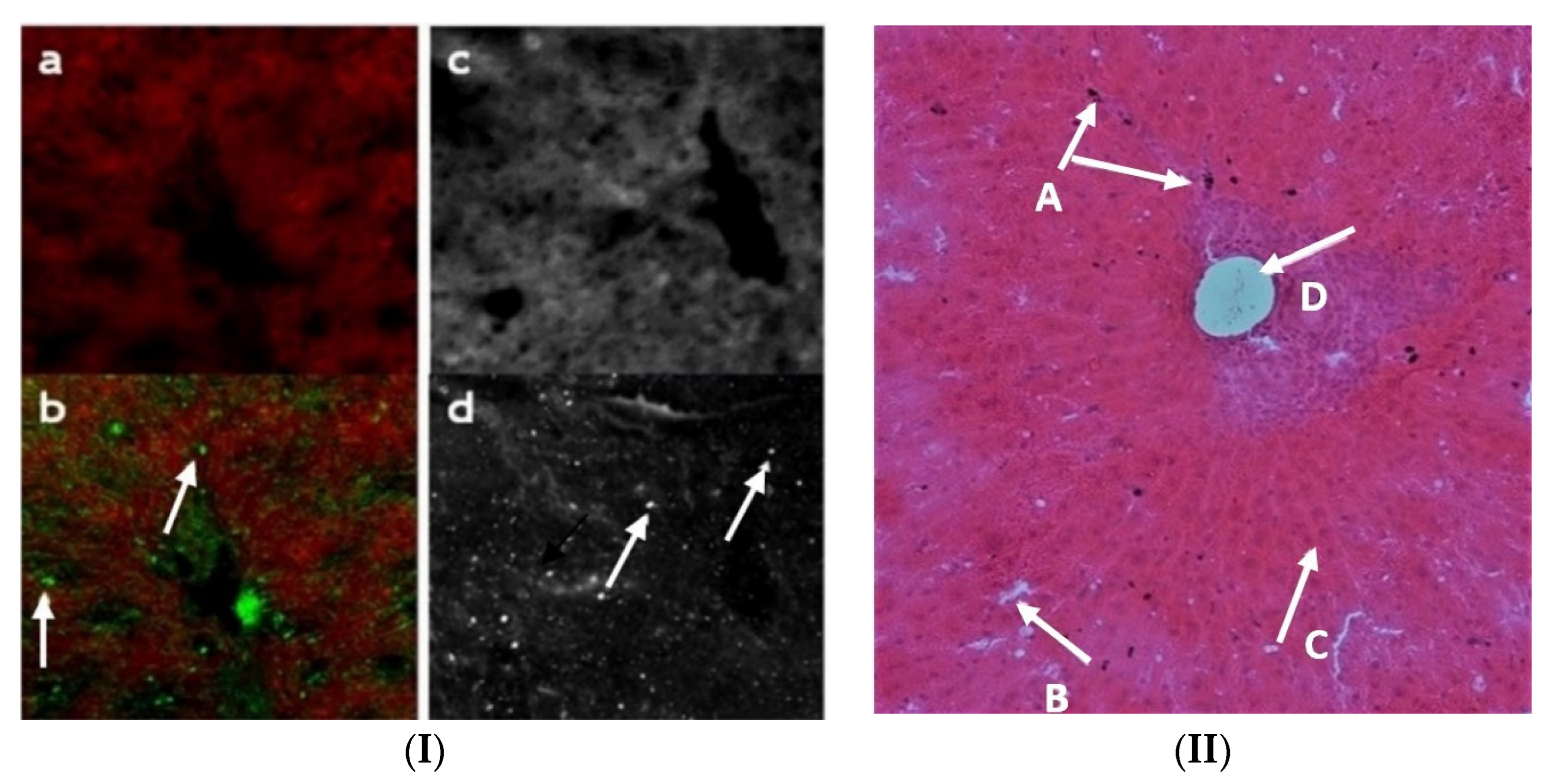 Nanomaterials 12 02198 g006