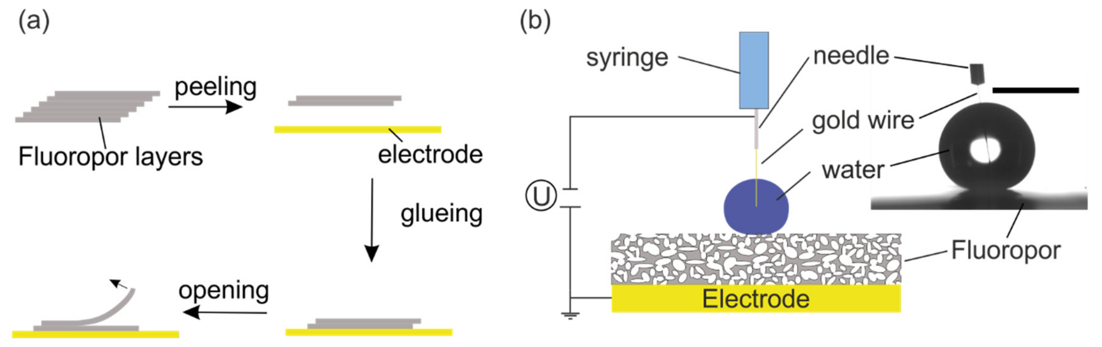 Nanomaterials 12 02201 g001 550