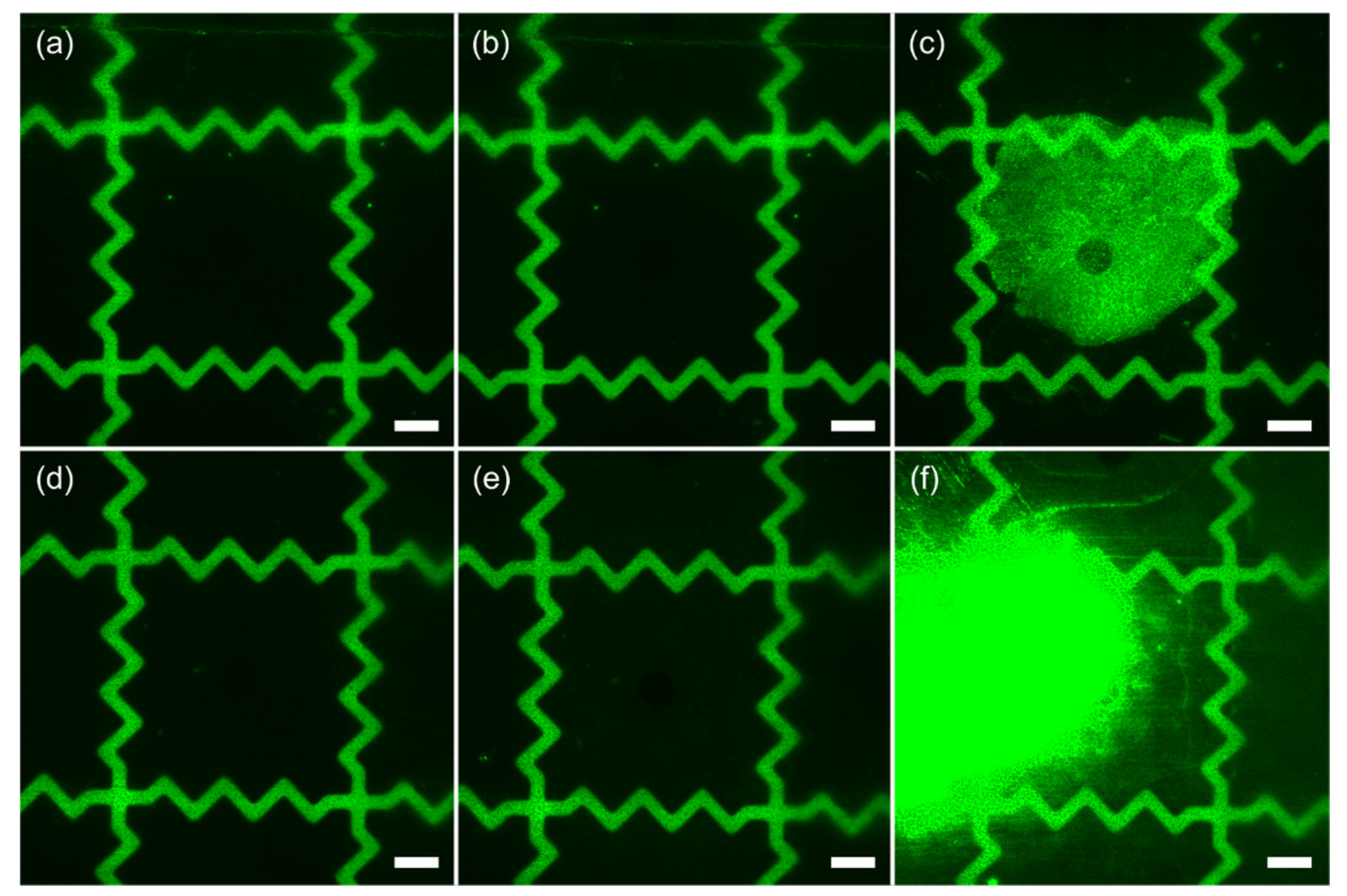 Nanomaterials 12 02201 g006 550