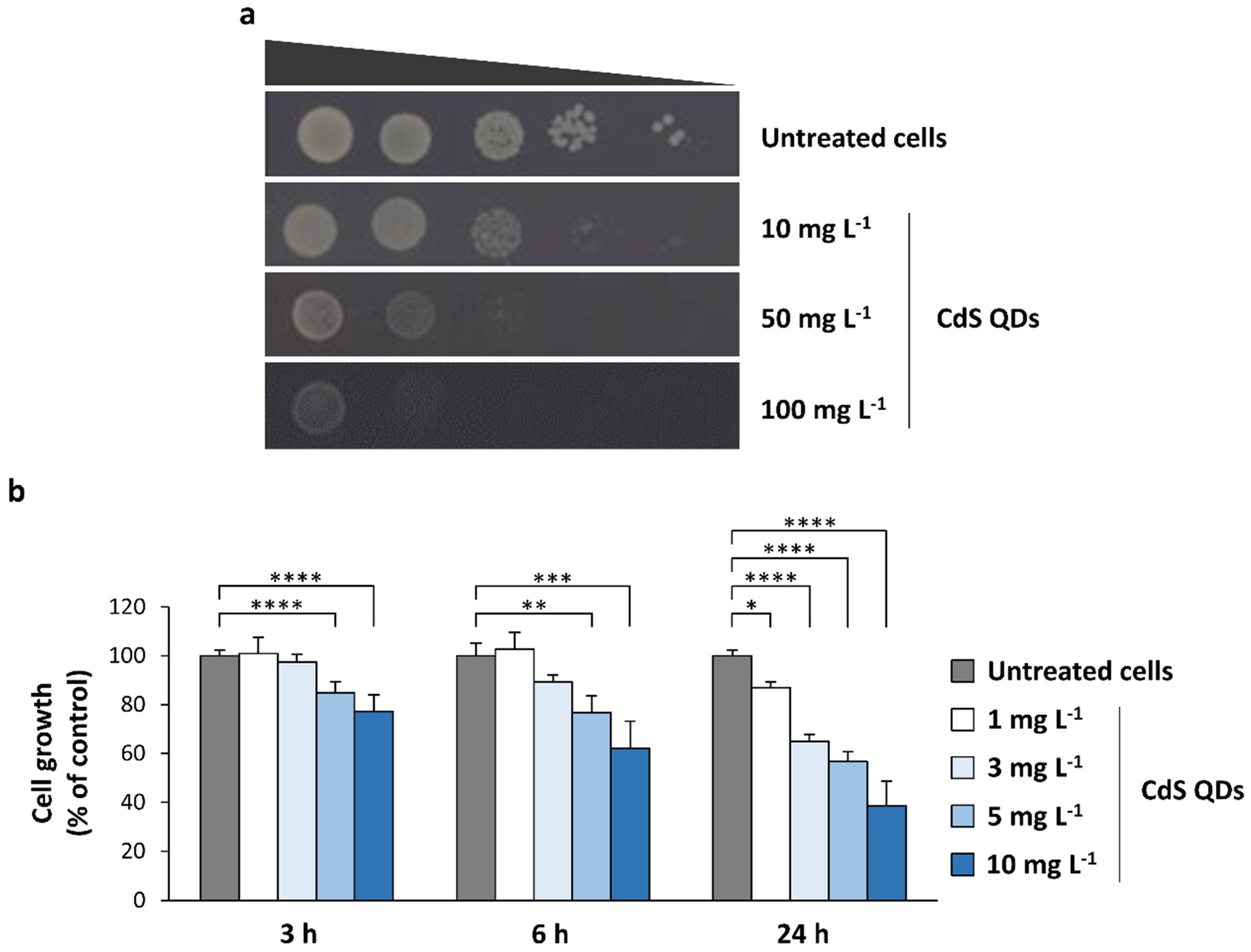 Nanomaterials 12 02208 g001 Nanomaterials 12 02208 g001