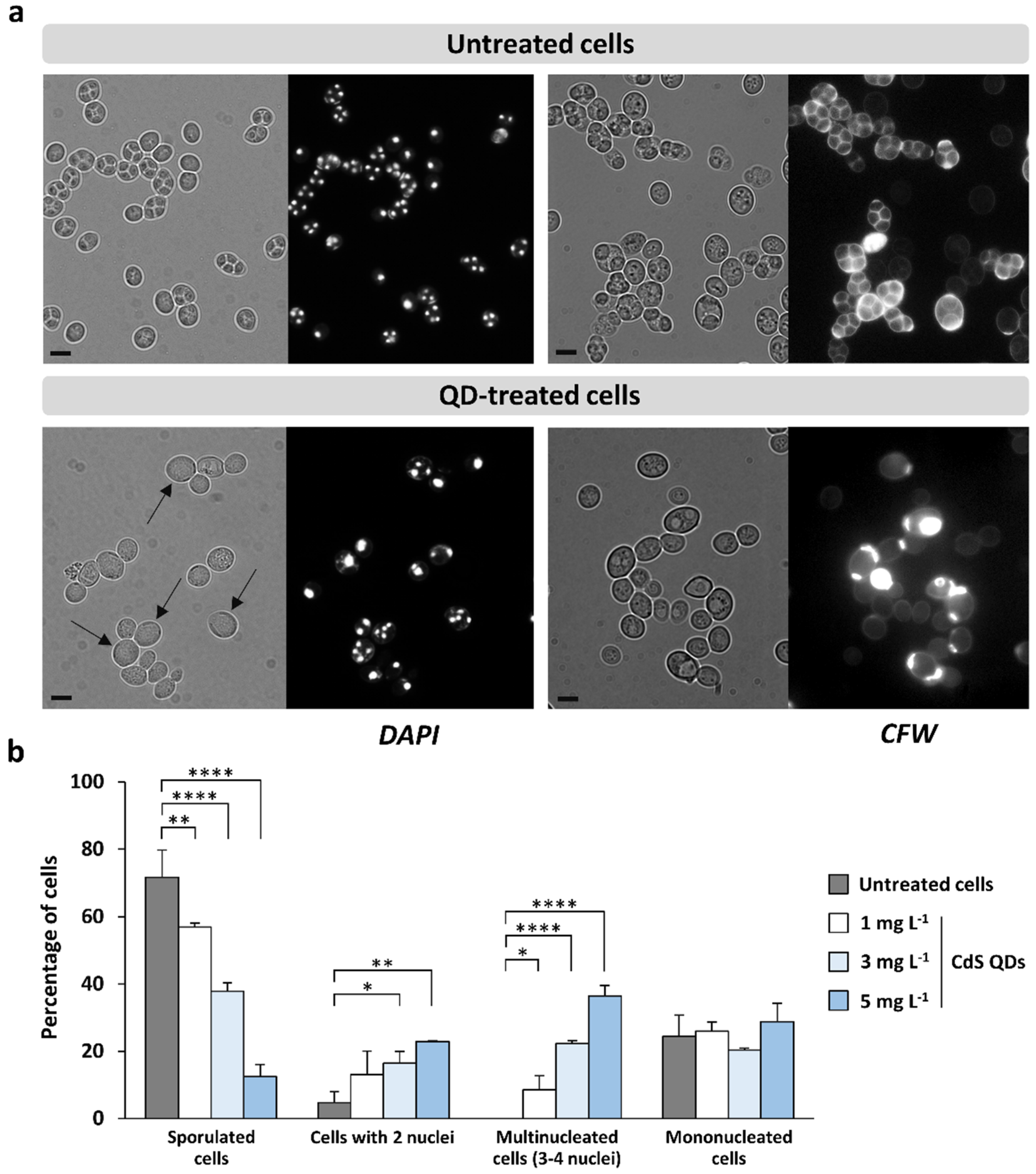 Nanomaterials 12 02208 g003 Nanomaterials 12 02208 g003