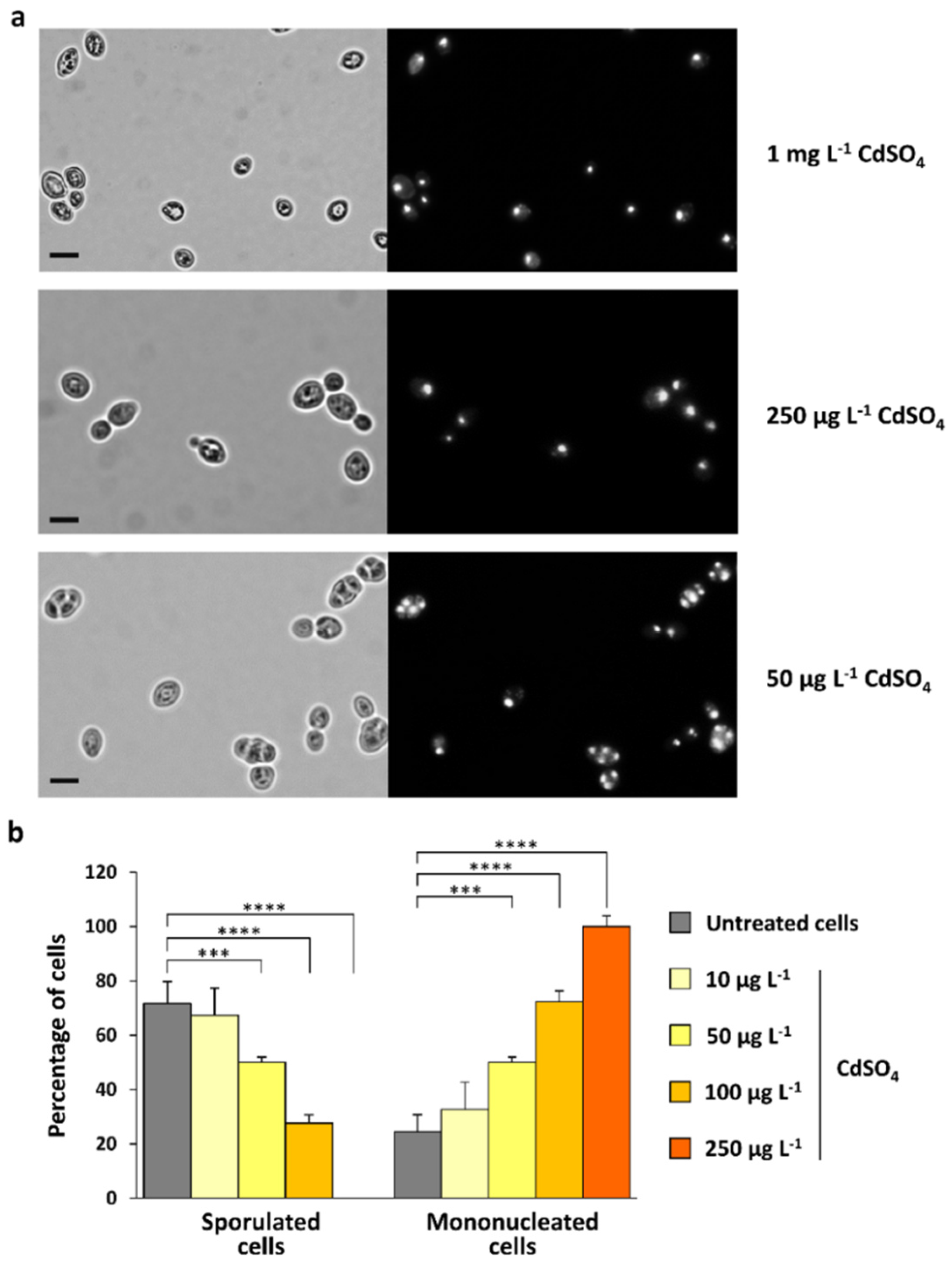 Nanomaterials 12 02208 g005 Nanomaterials 12 02208 g005