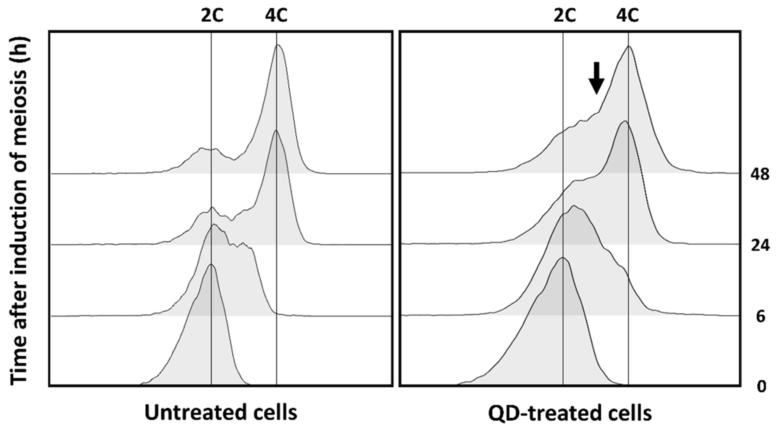 Nanomaterials 12 02208 g008 Nanomaterials 12 02208 g008