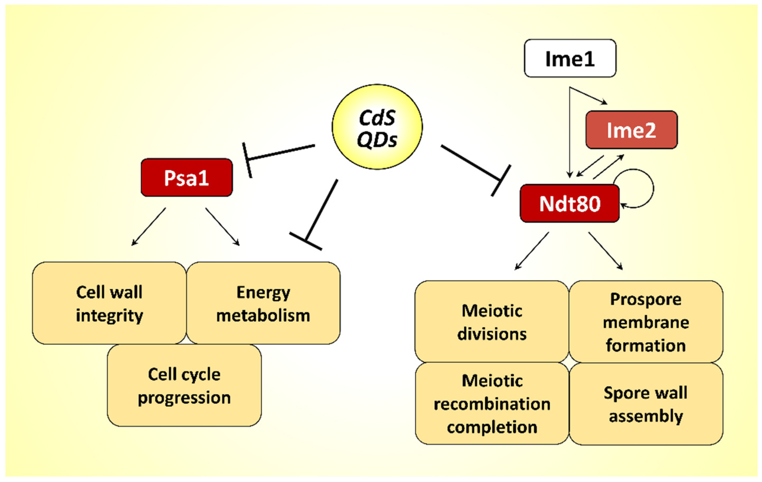 Nanomaterials 12 02208 g009 Nanomaterials 12 02208 g009