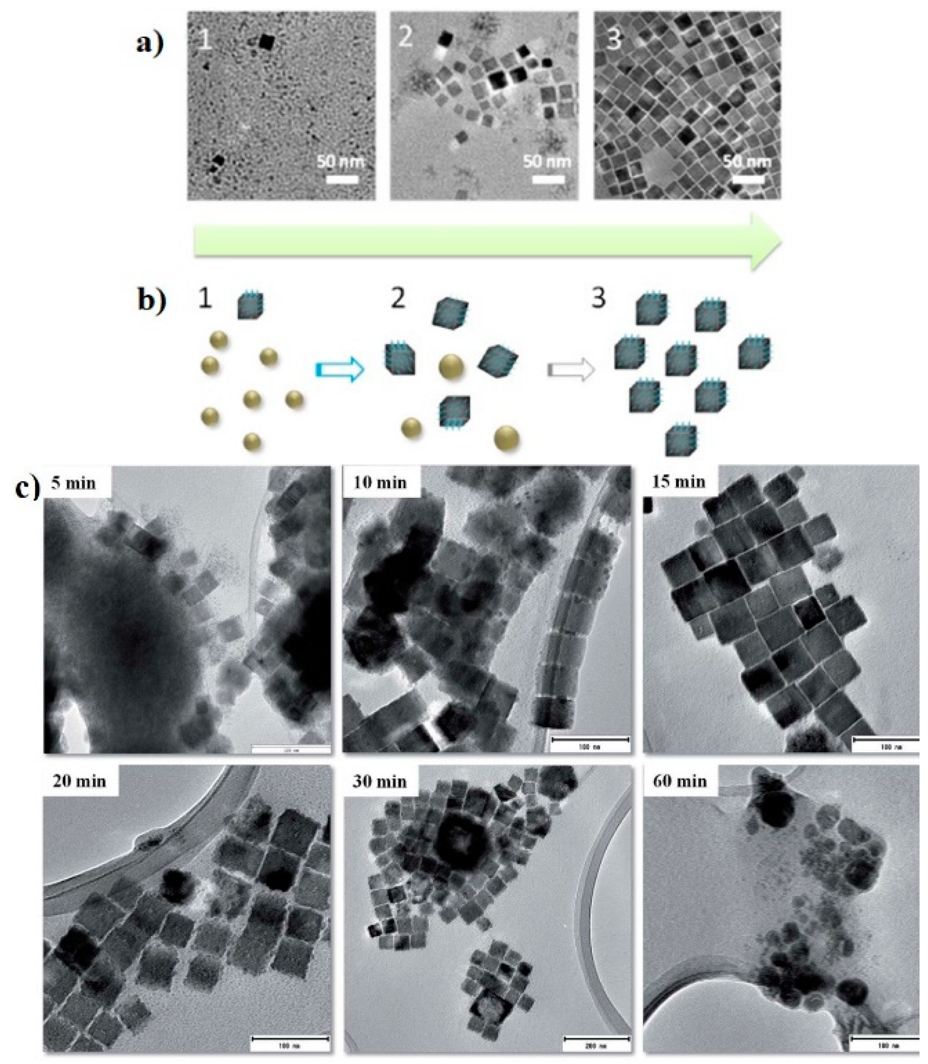 Nanomaterials 12 02218 g003