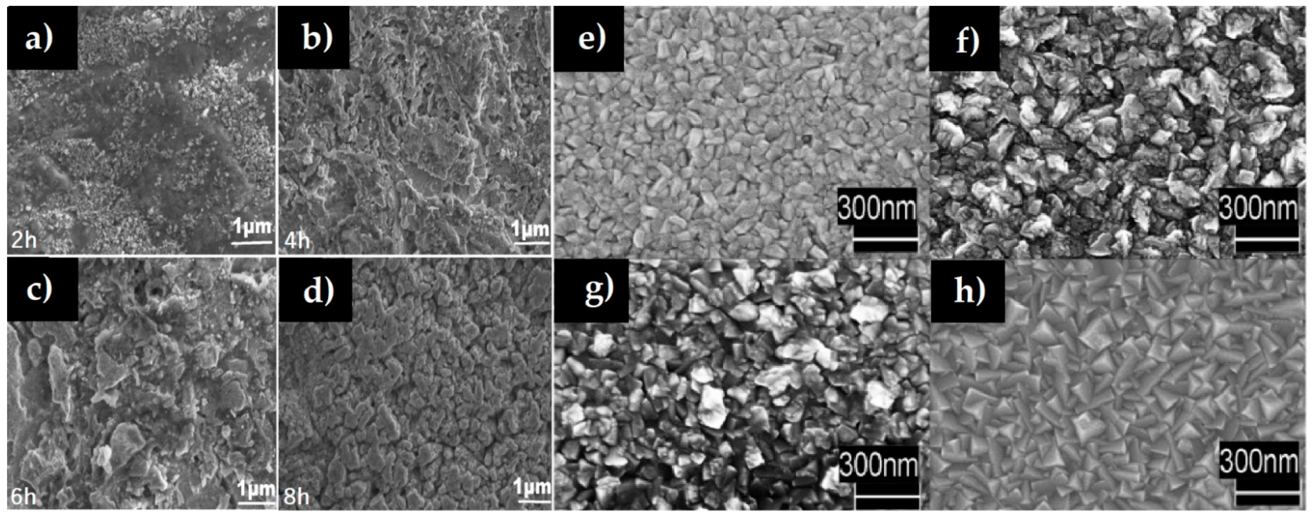 Nanomaterials 12 02218 g005