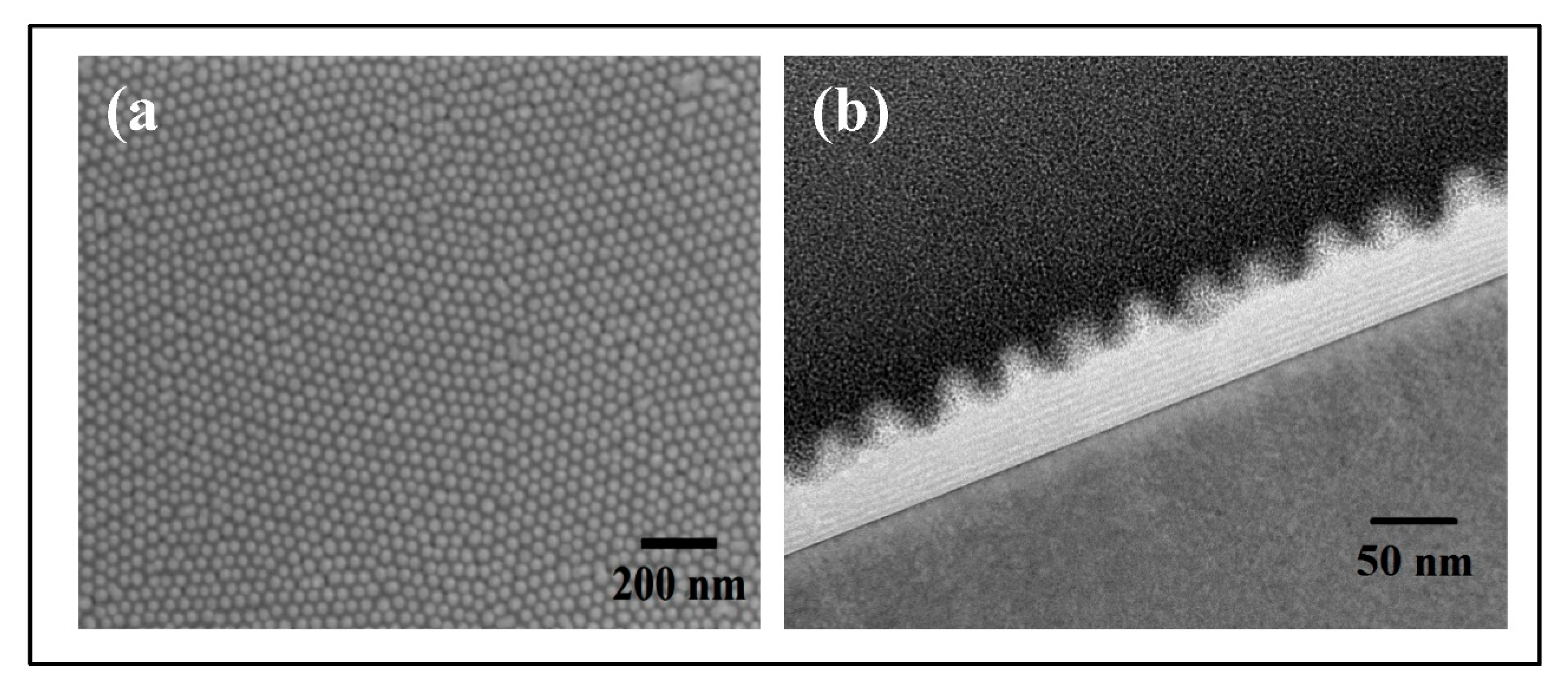 Nanomaterials 12 02223 g007