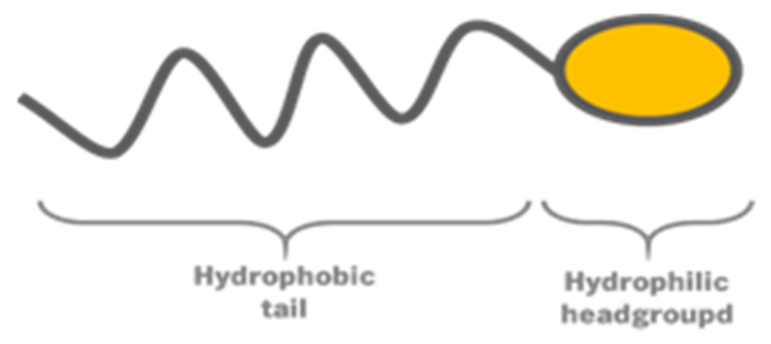 Nanomaterials 12 02224 g001 550