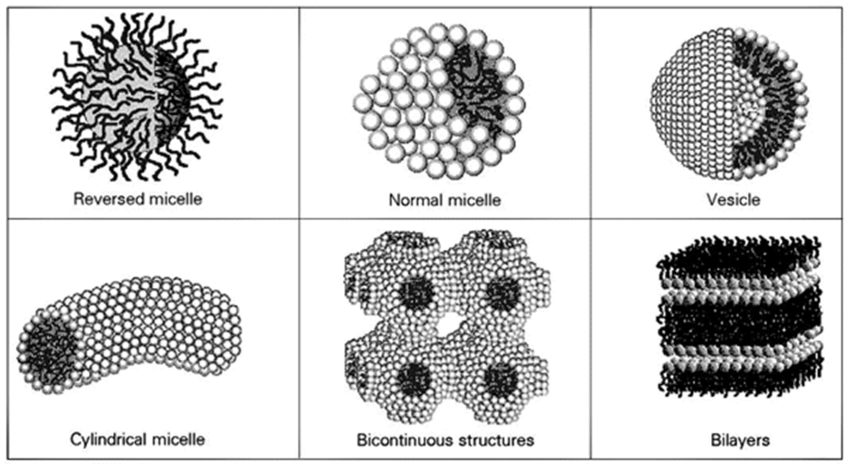 Nanomaterials 12 02224 g002 550