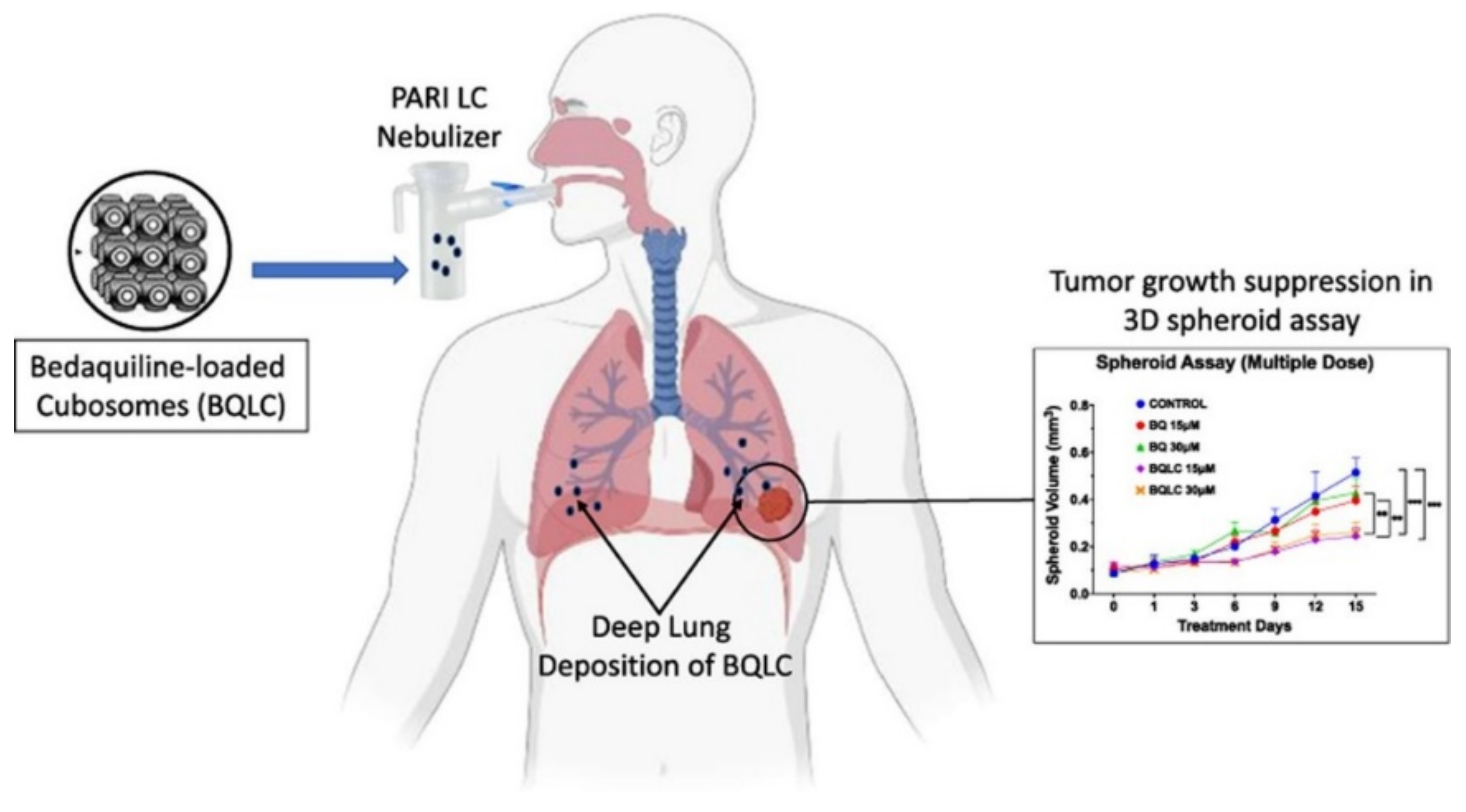 Nanomaterials 12 02224 g009 550