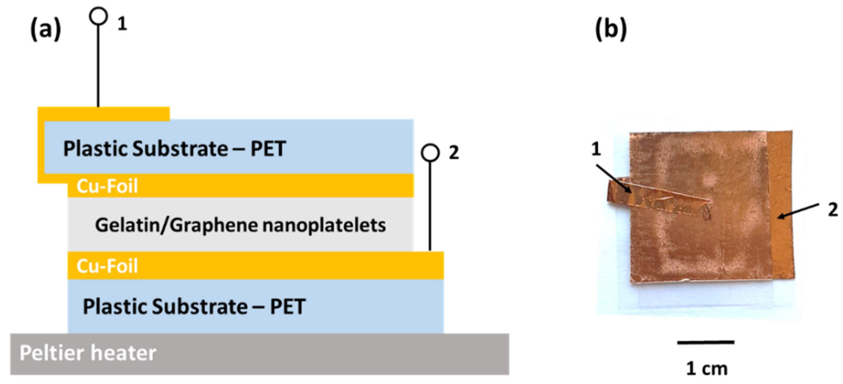 Nanomaterials 12 02227 g001 550
