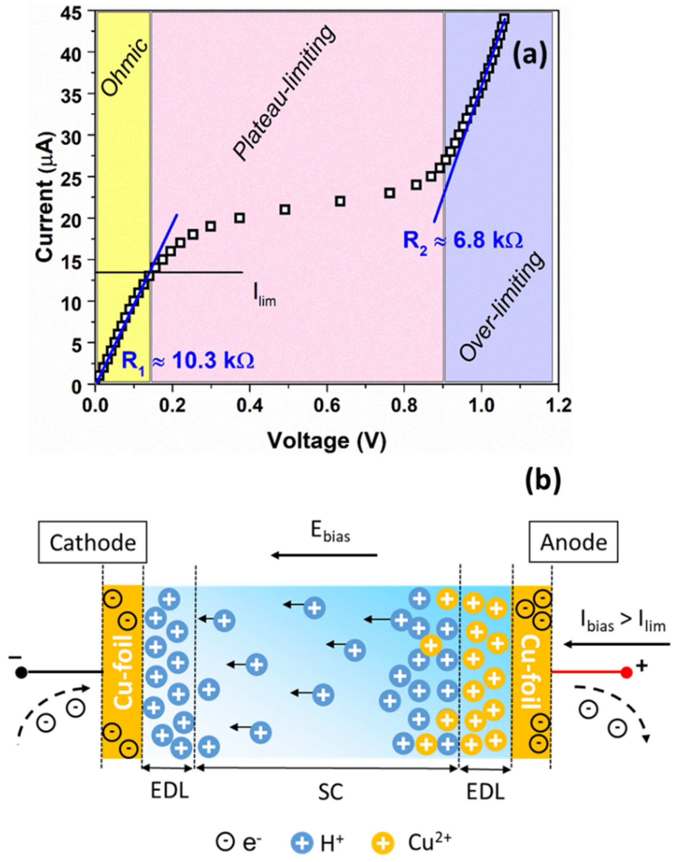 Nanomaterials 12 02227 g006 550
