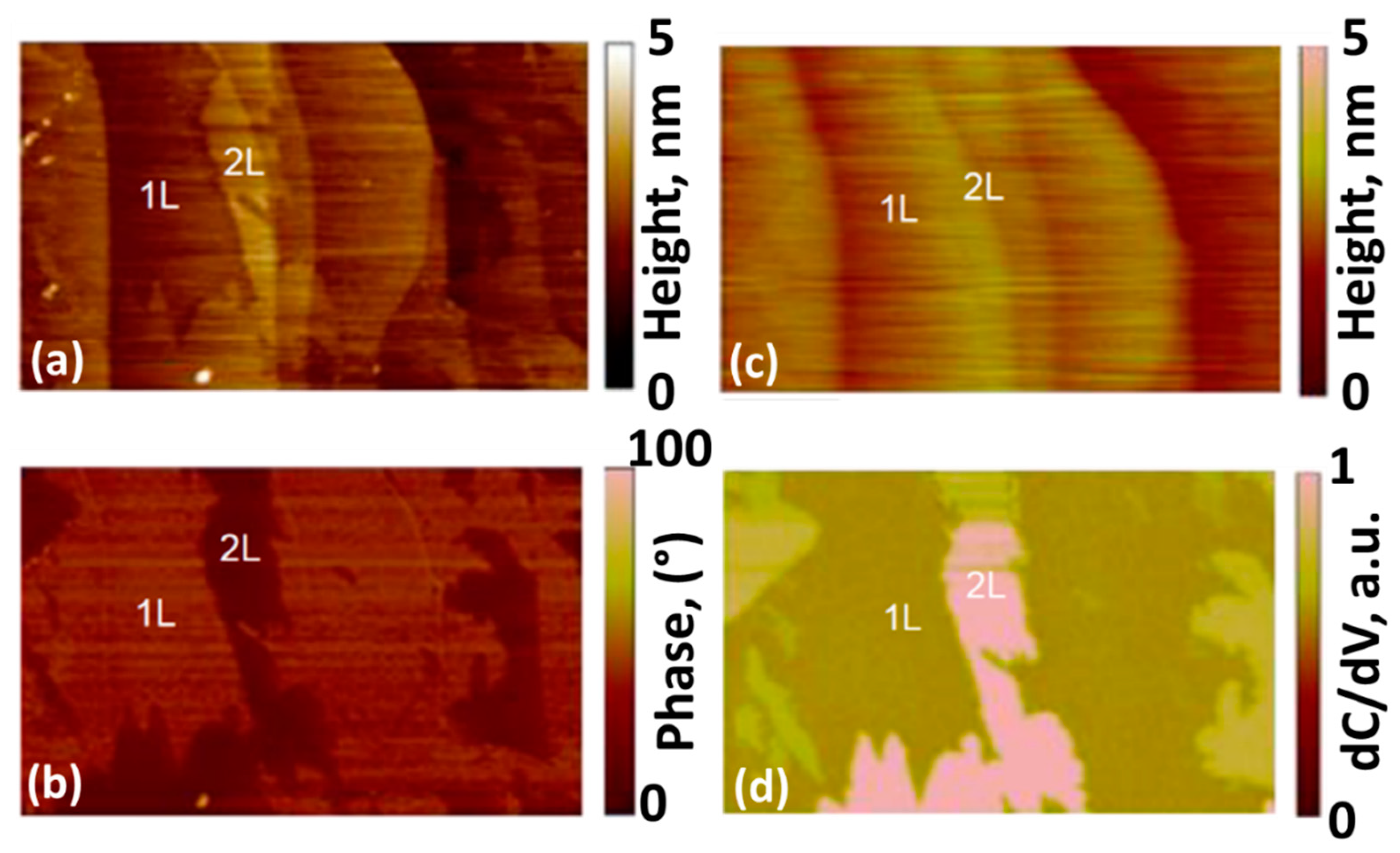 Nanomaterials 12 02229 g003 Nanomaterials 12 02229 g003